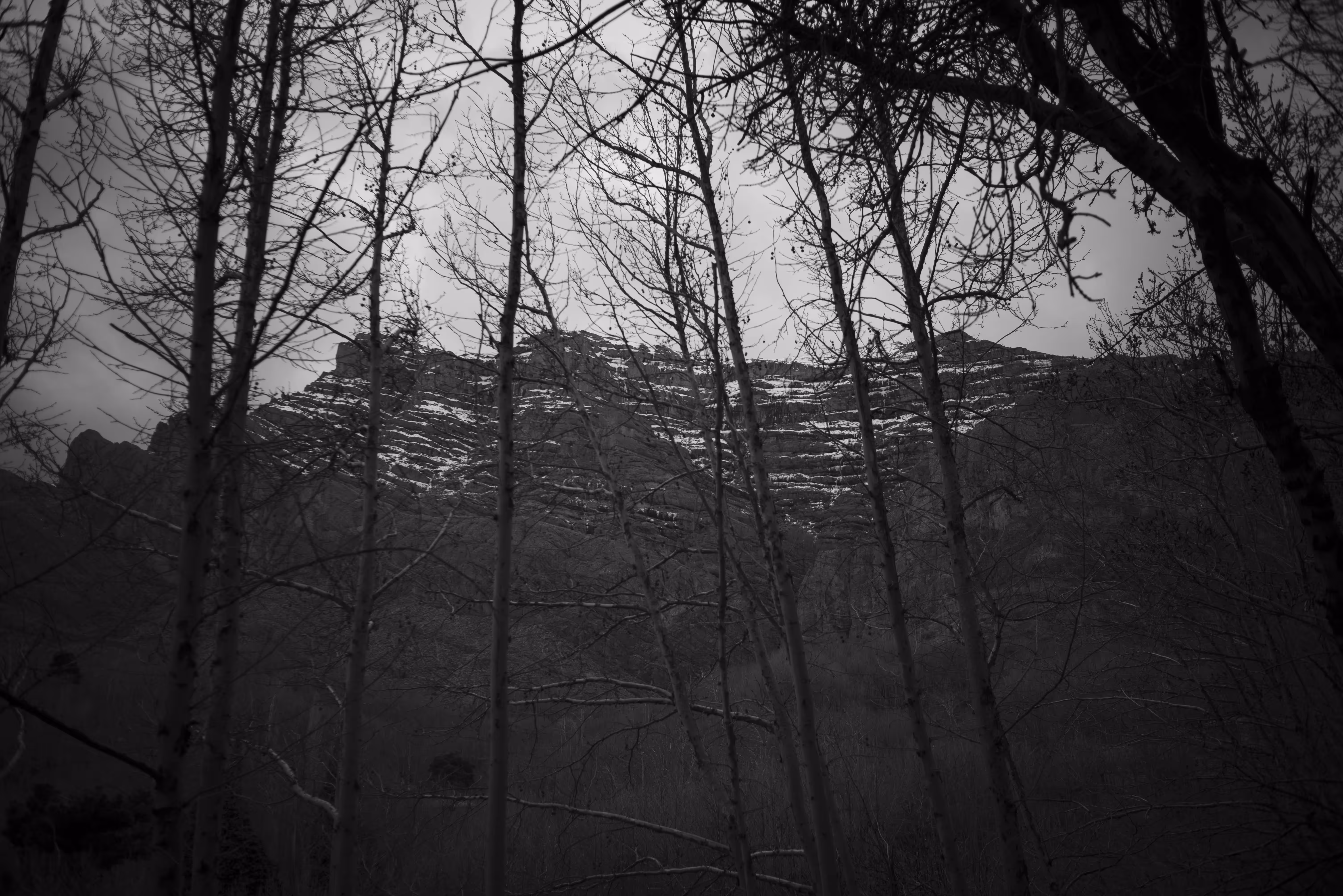 Silence No.4
