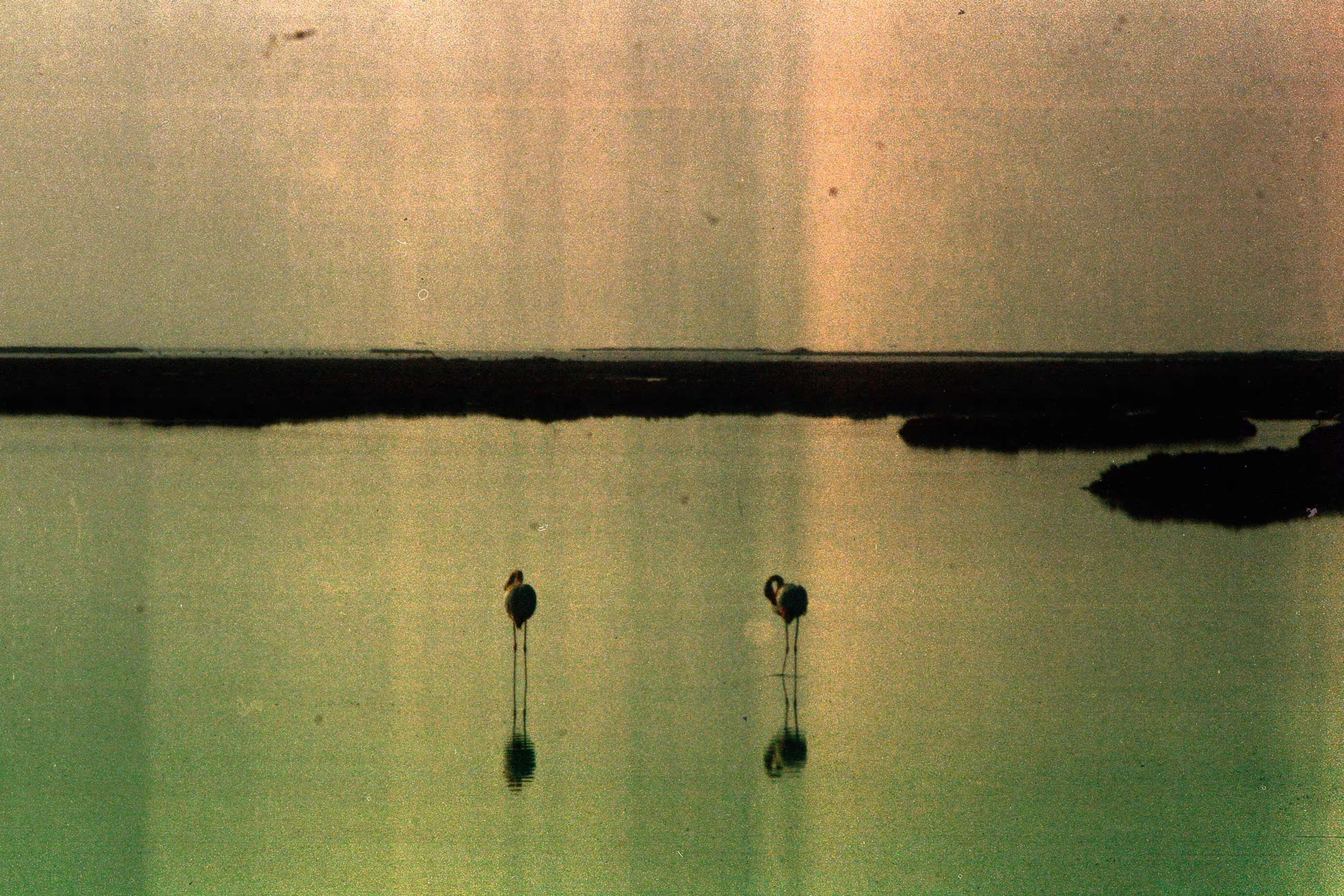 "a day away" #1