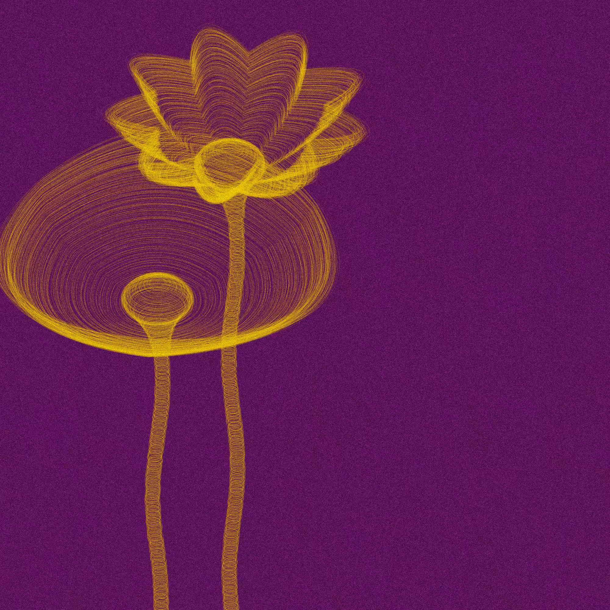Code Flowers #3