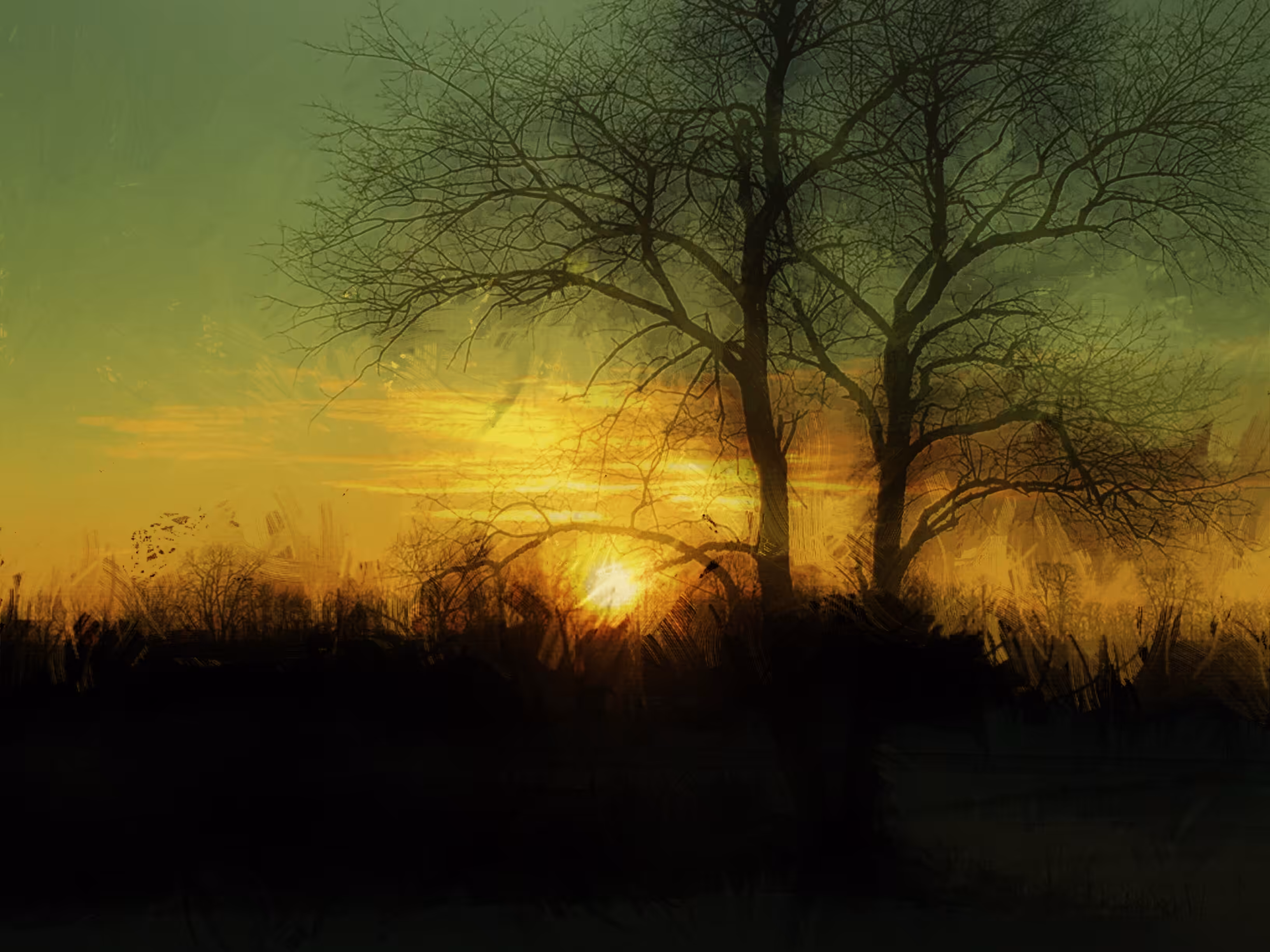 Dusky Glow