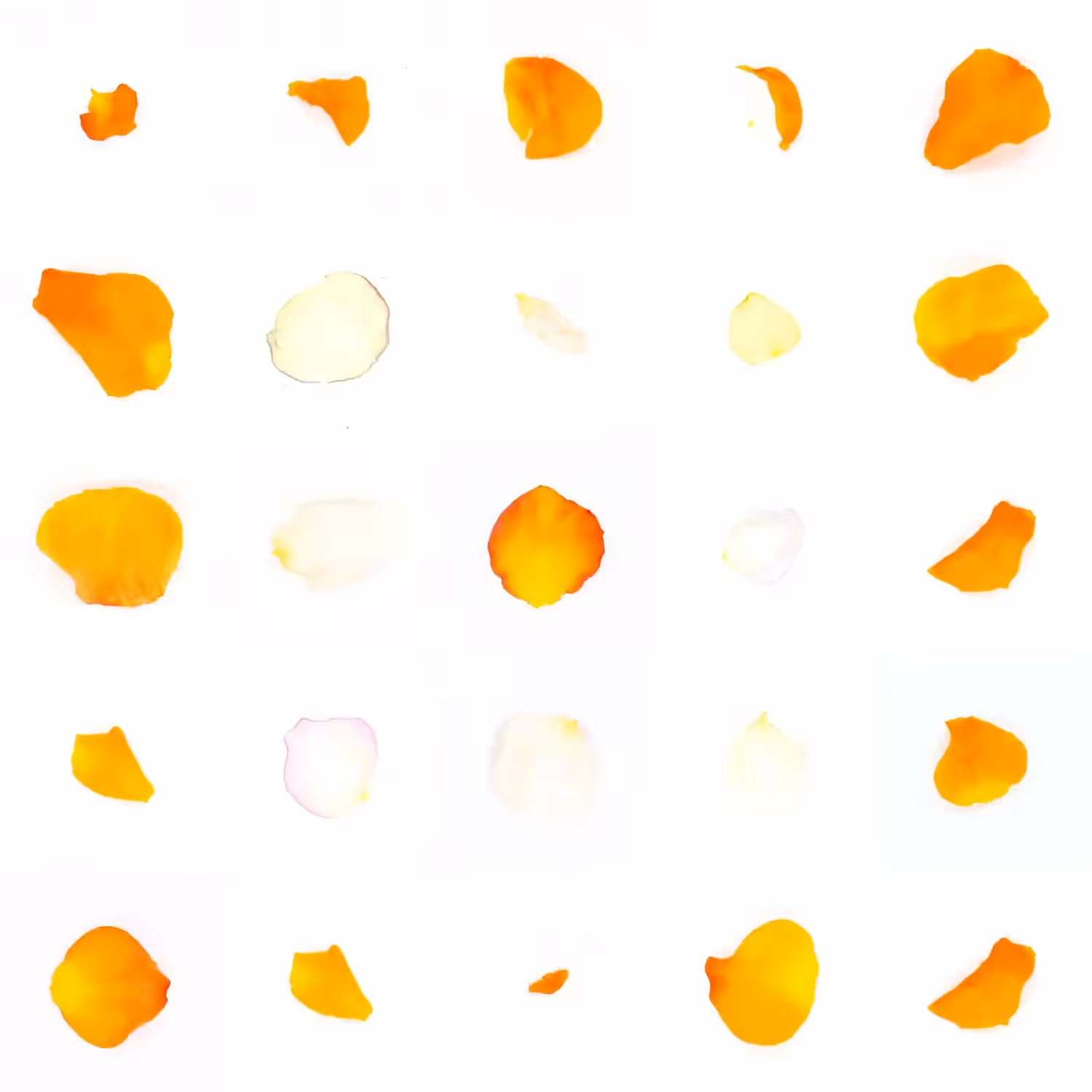 Infinite Petals 5x5#20349