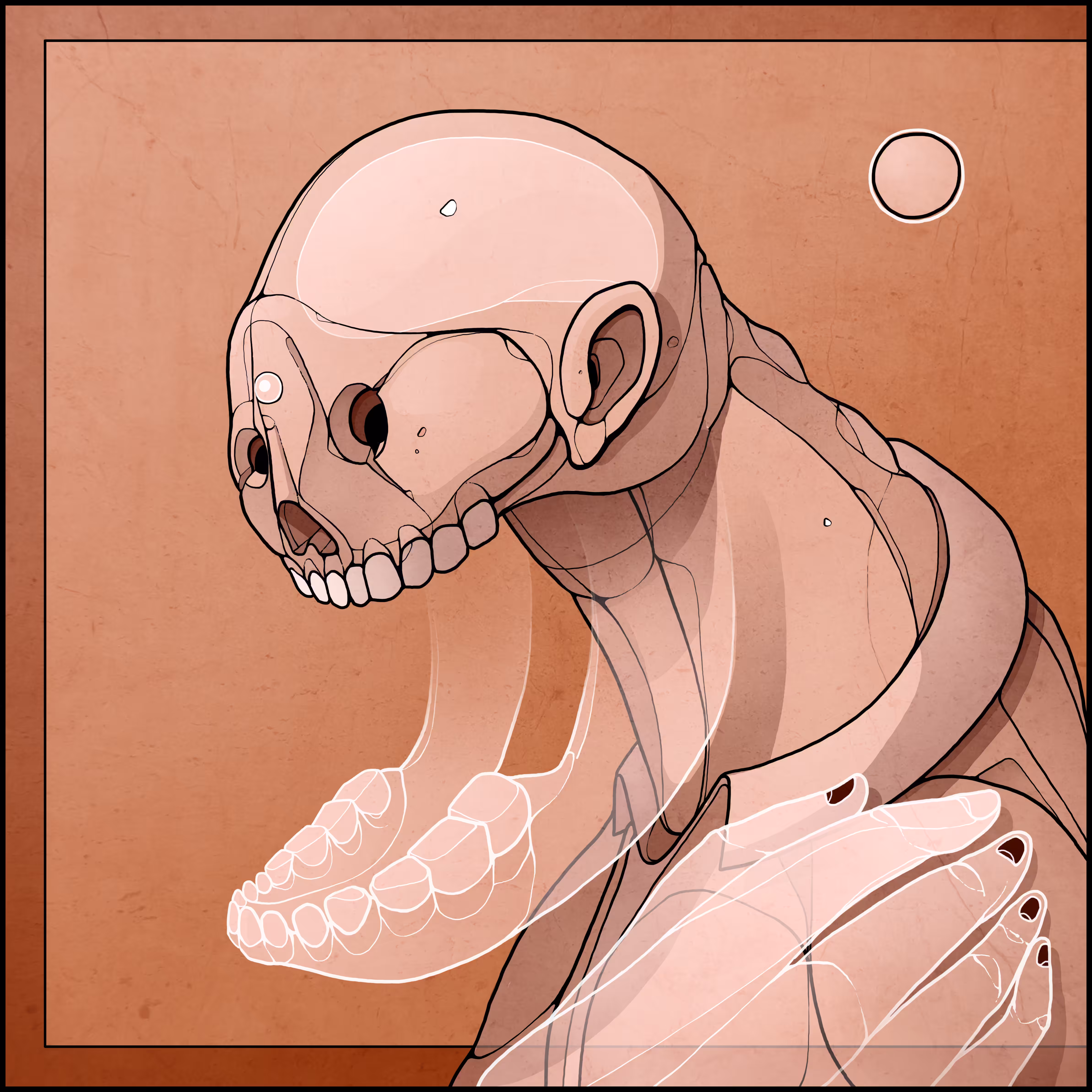 Jaw Transparency
