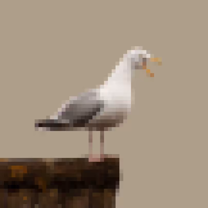 PixlBird #041