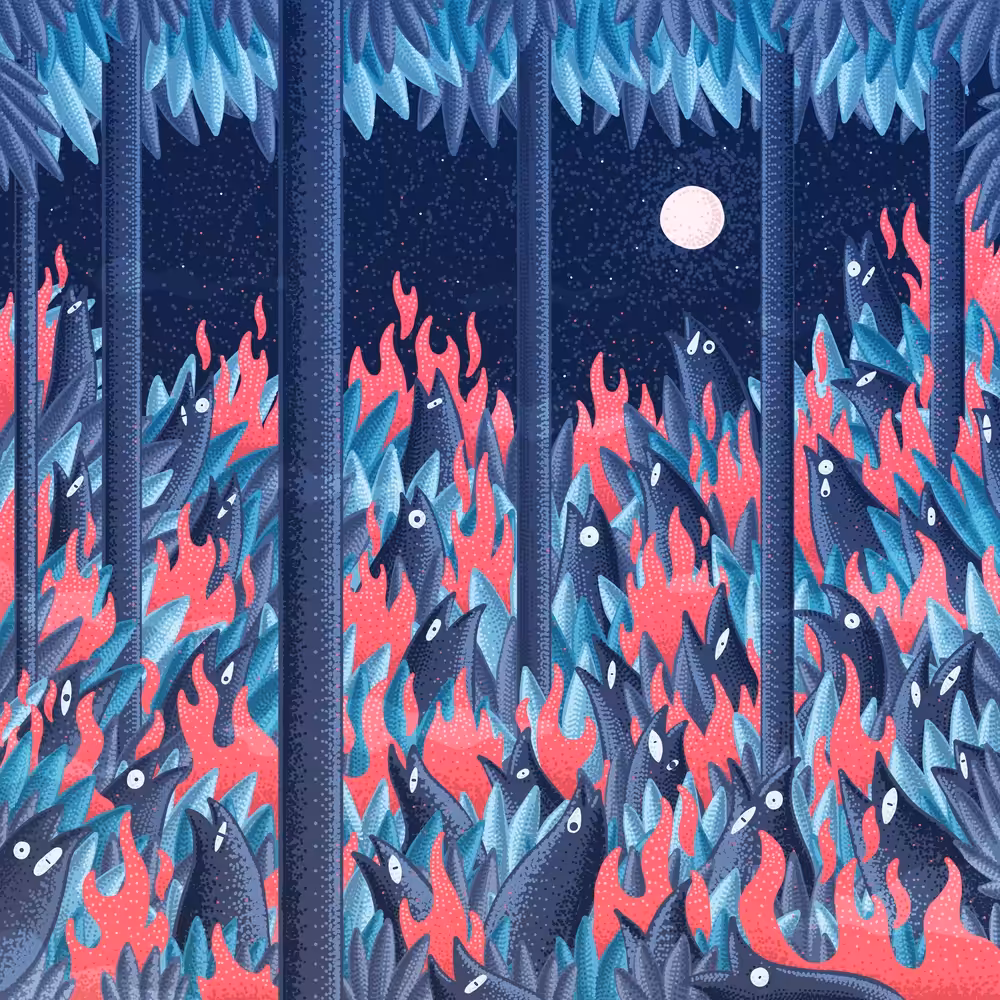Burning Animals