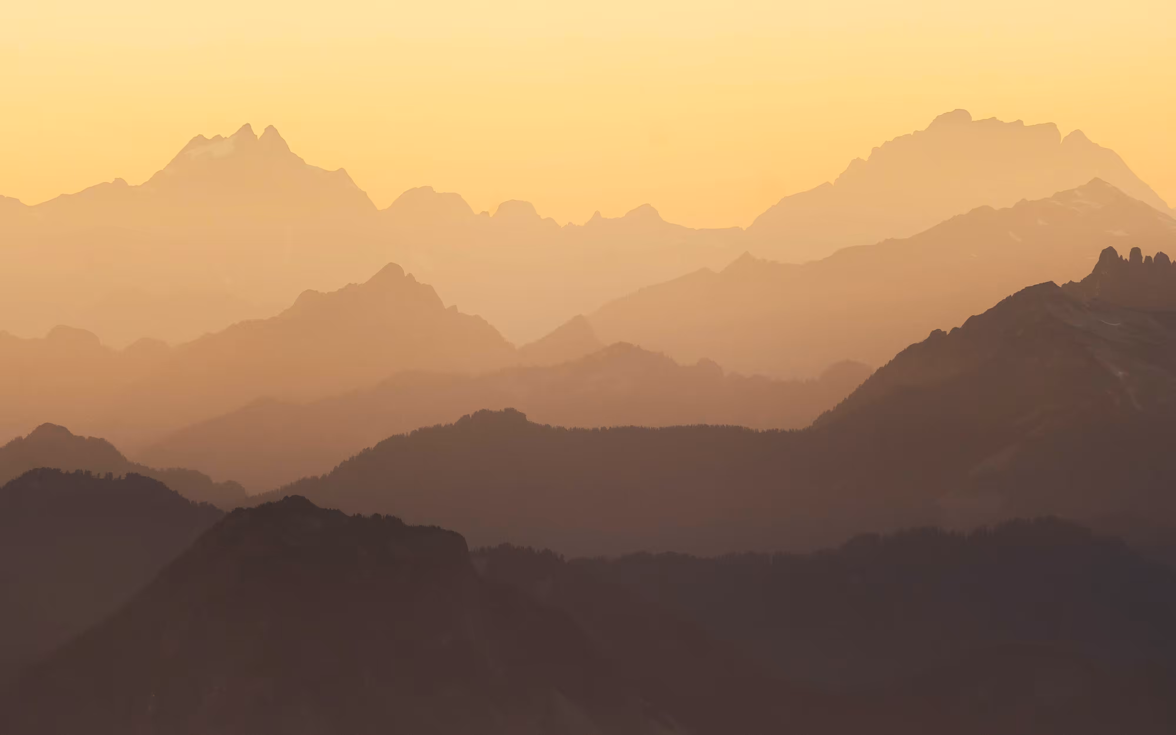Cascade  Dreamscape: Cascadian Gold