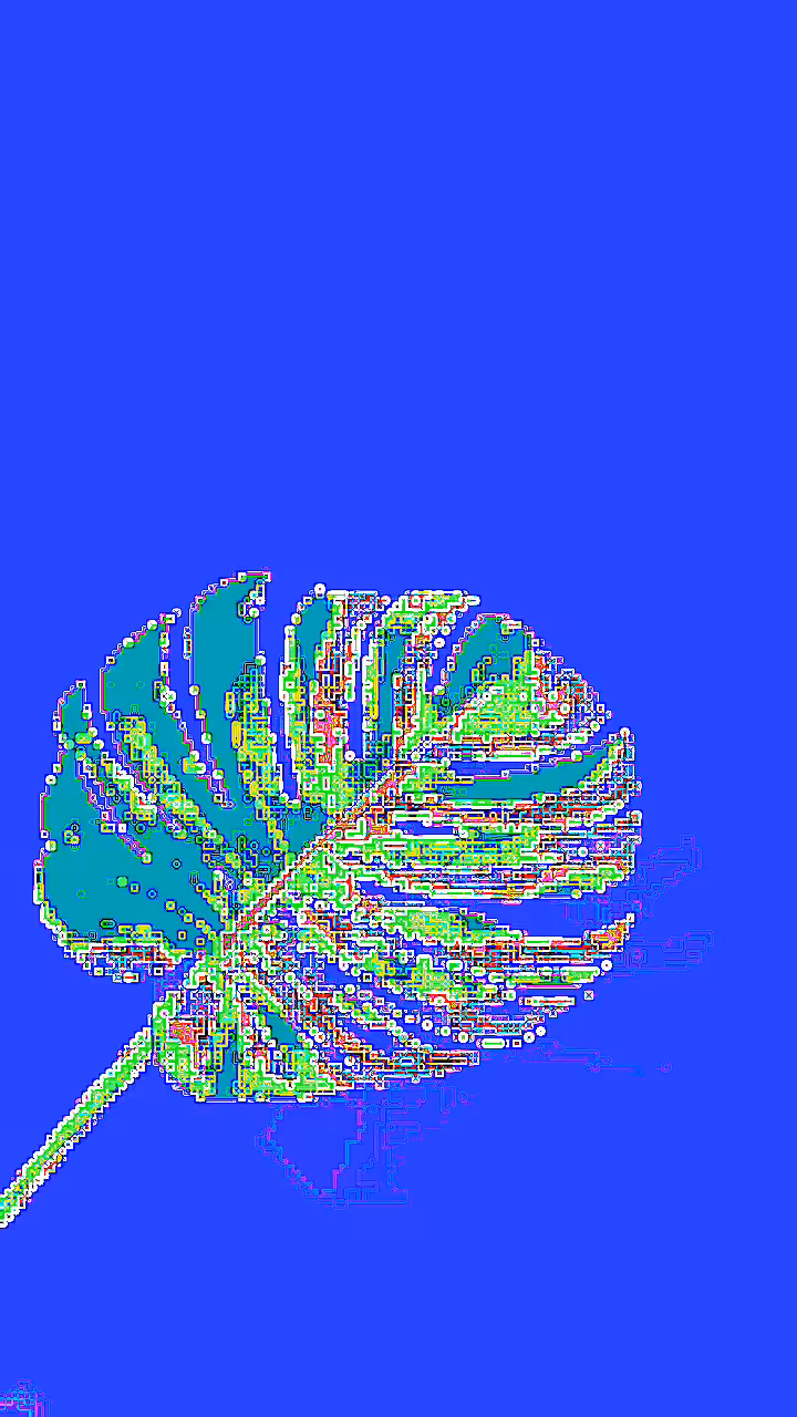 Xwt_54