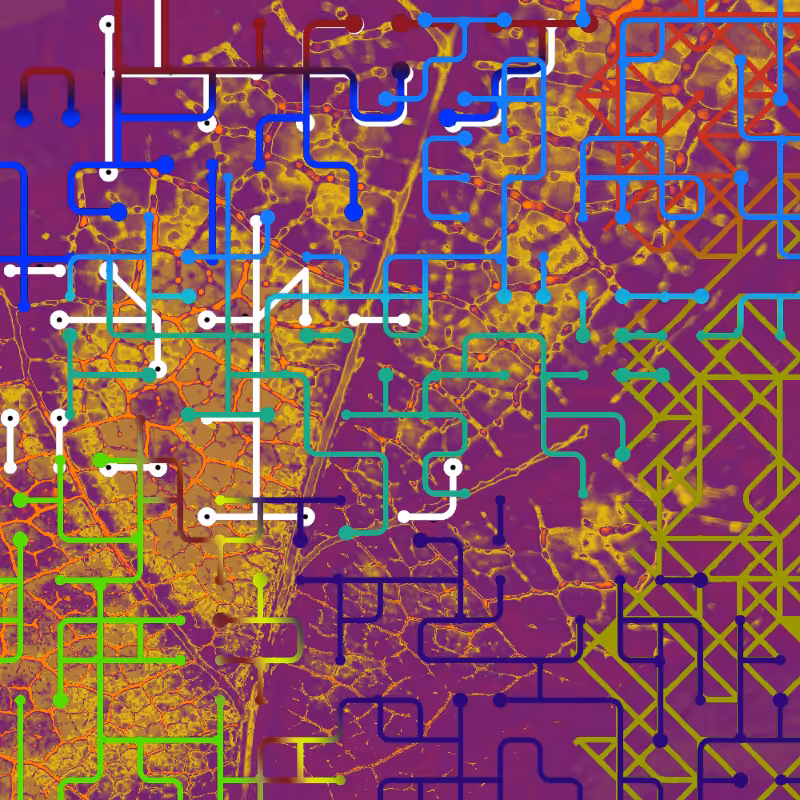 CHAOS #4