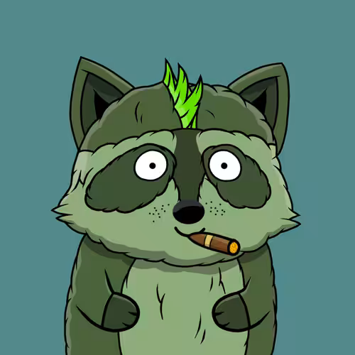 Charming Raccoons: Raccoon #29