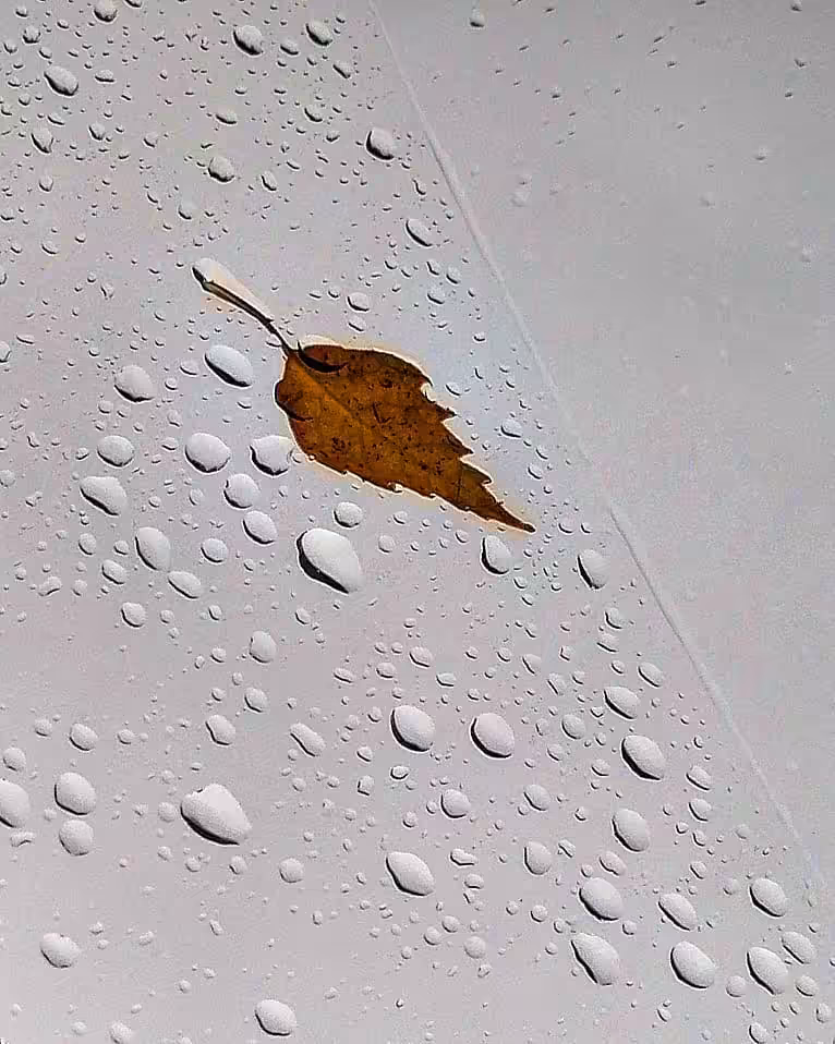 Rain painting : Rain Painting #0006