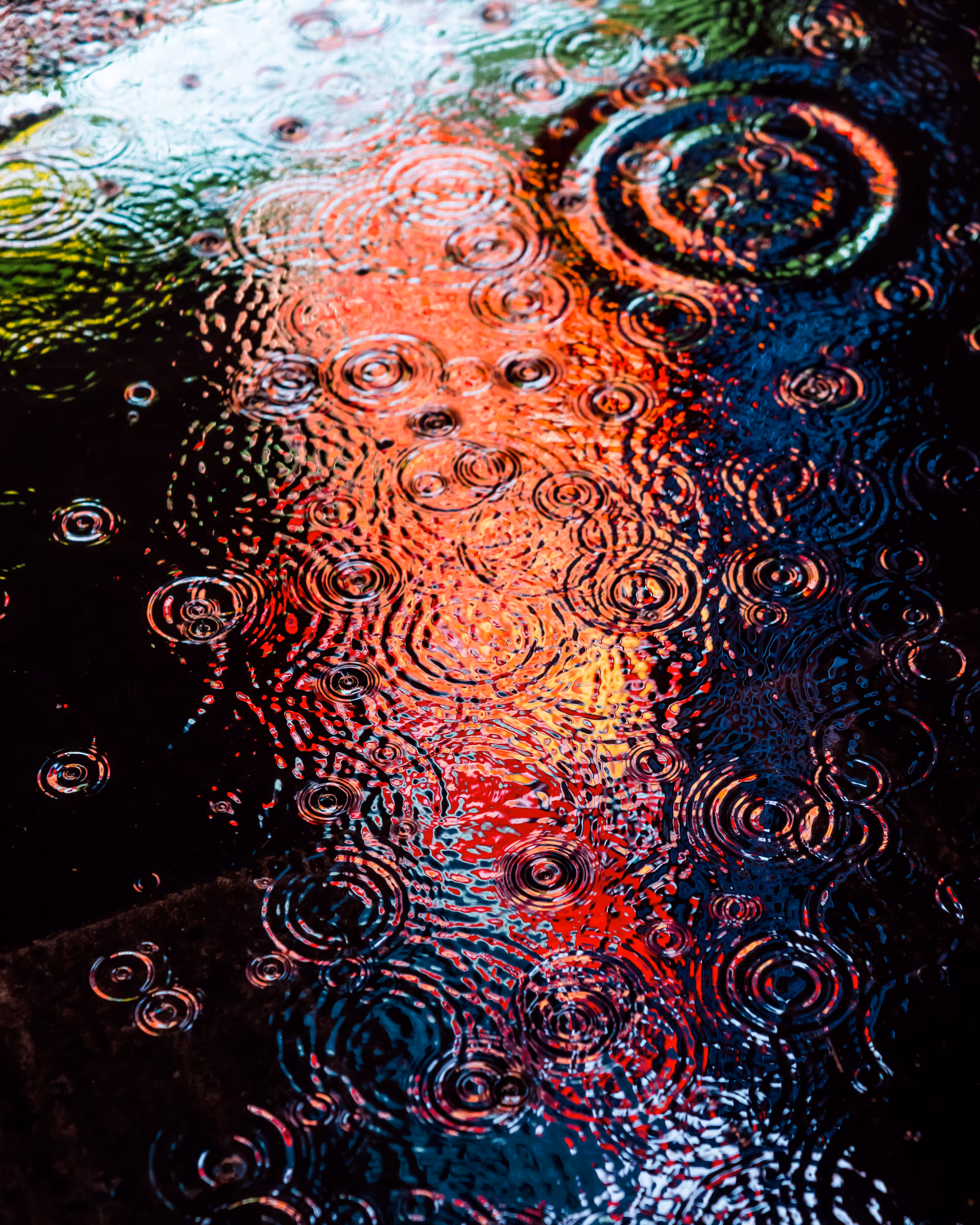 DRIP DROP: DRIP #175