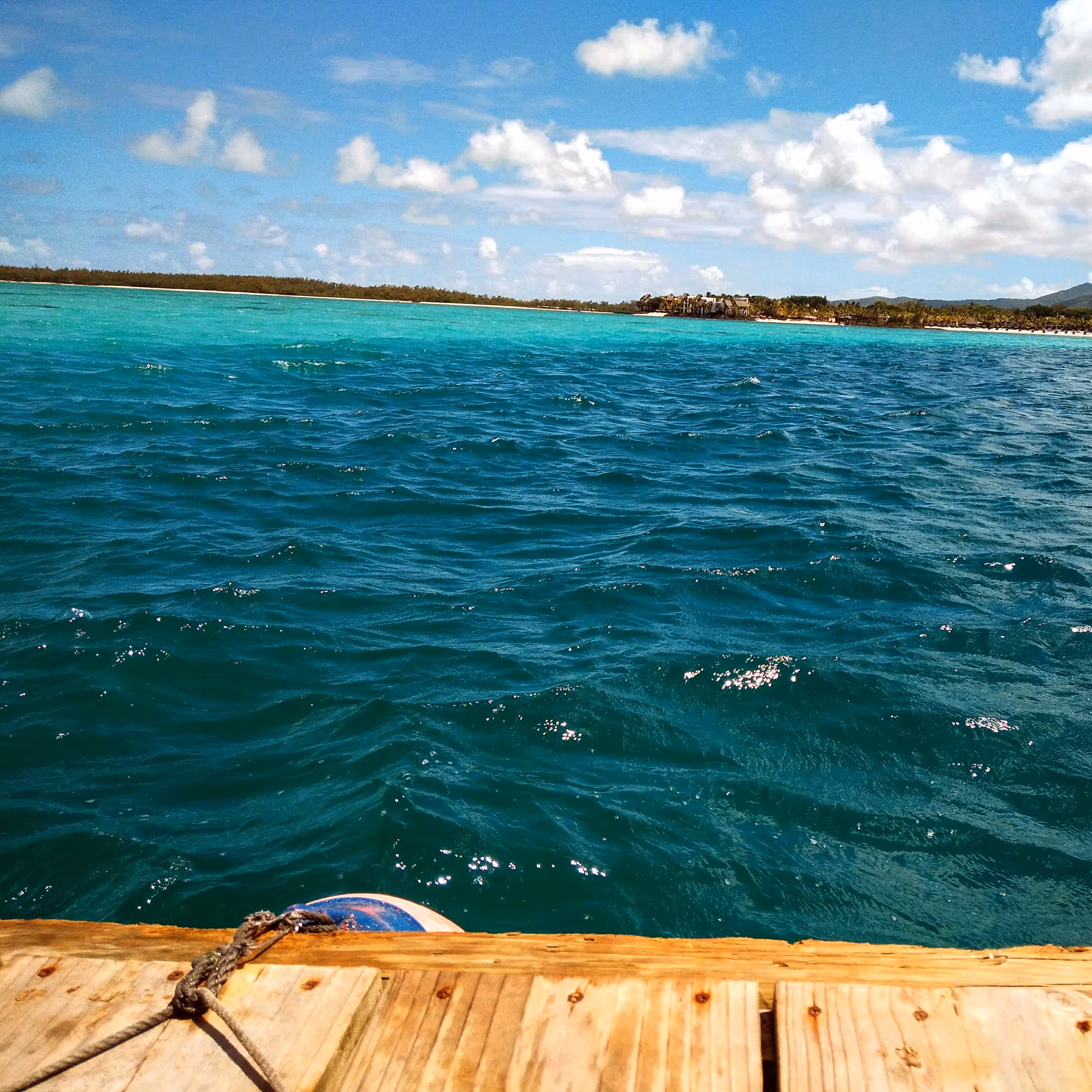 Dive Freely
