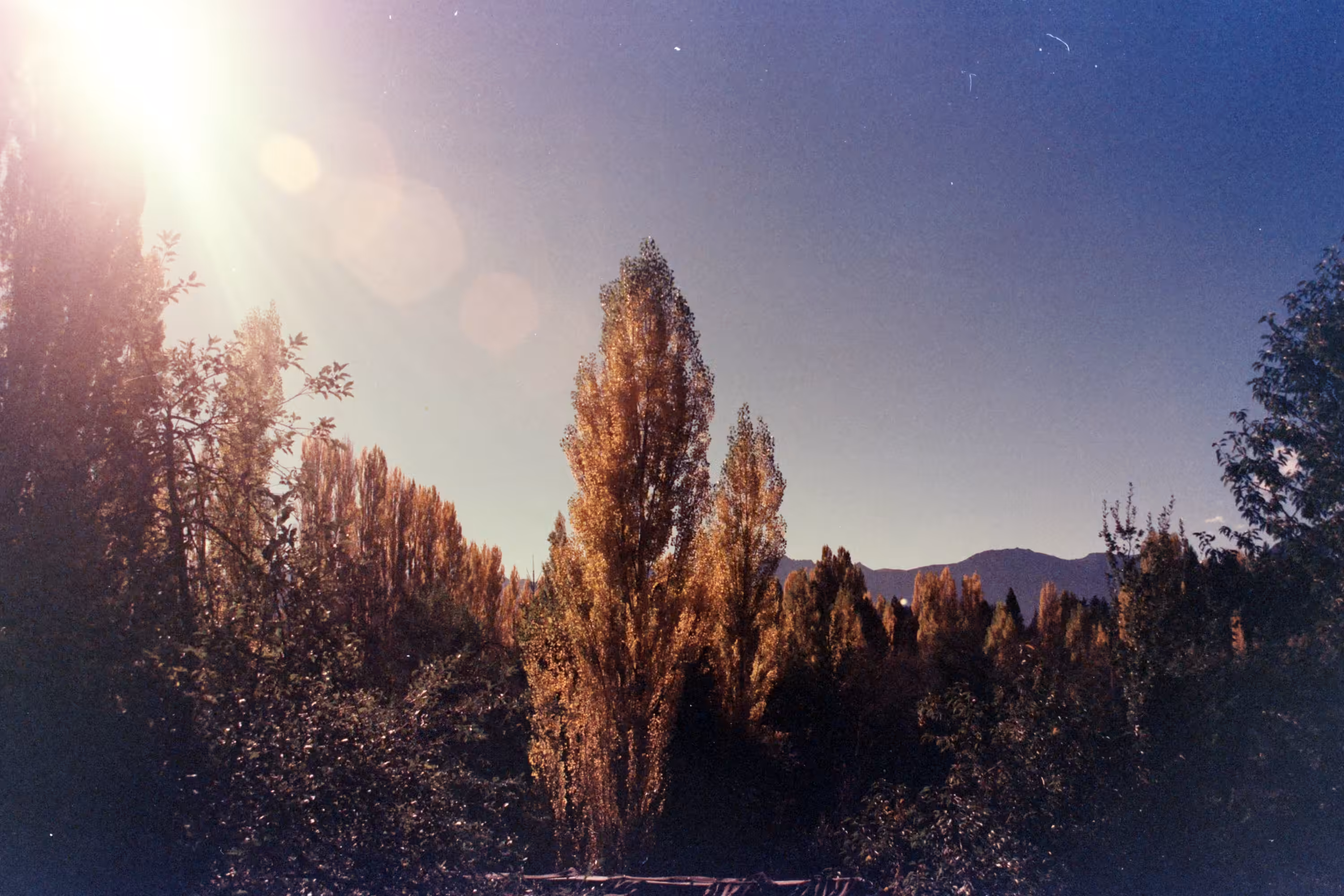 Autumn