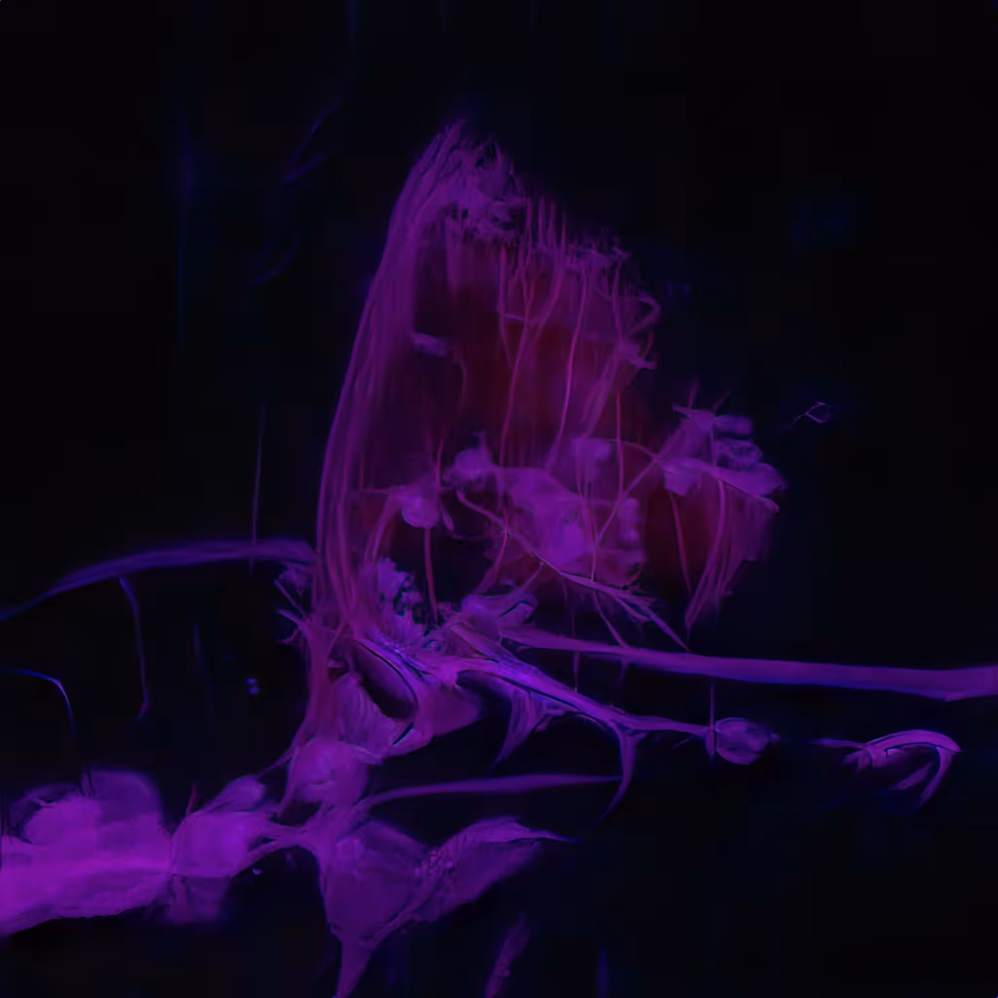 Emergent Finale 00027