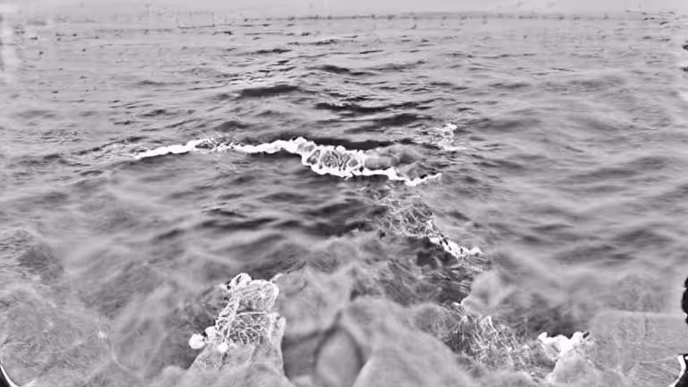 opensea (pixray_genesis)