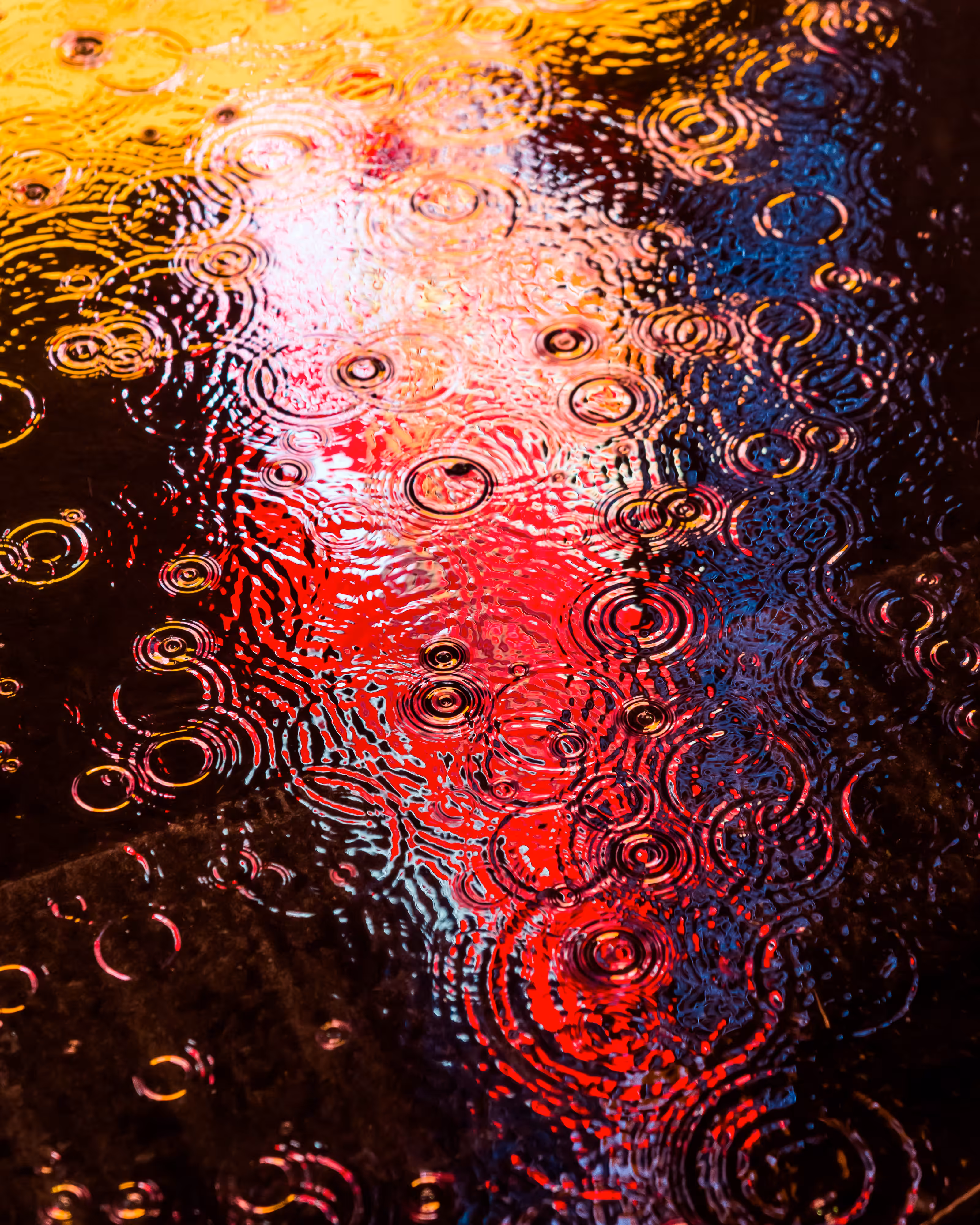 DRIP #972