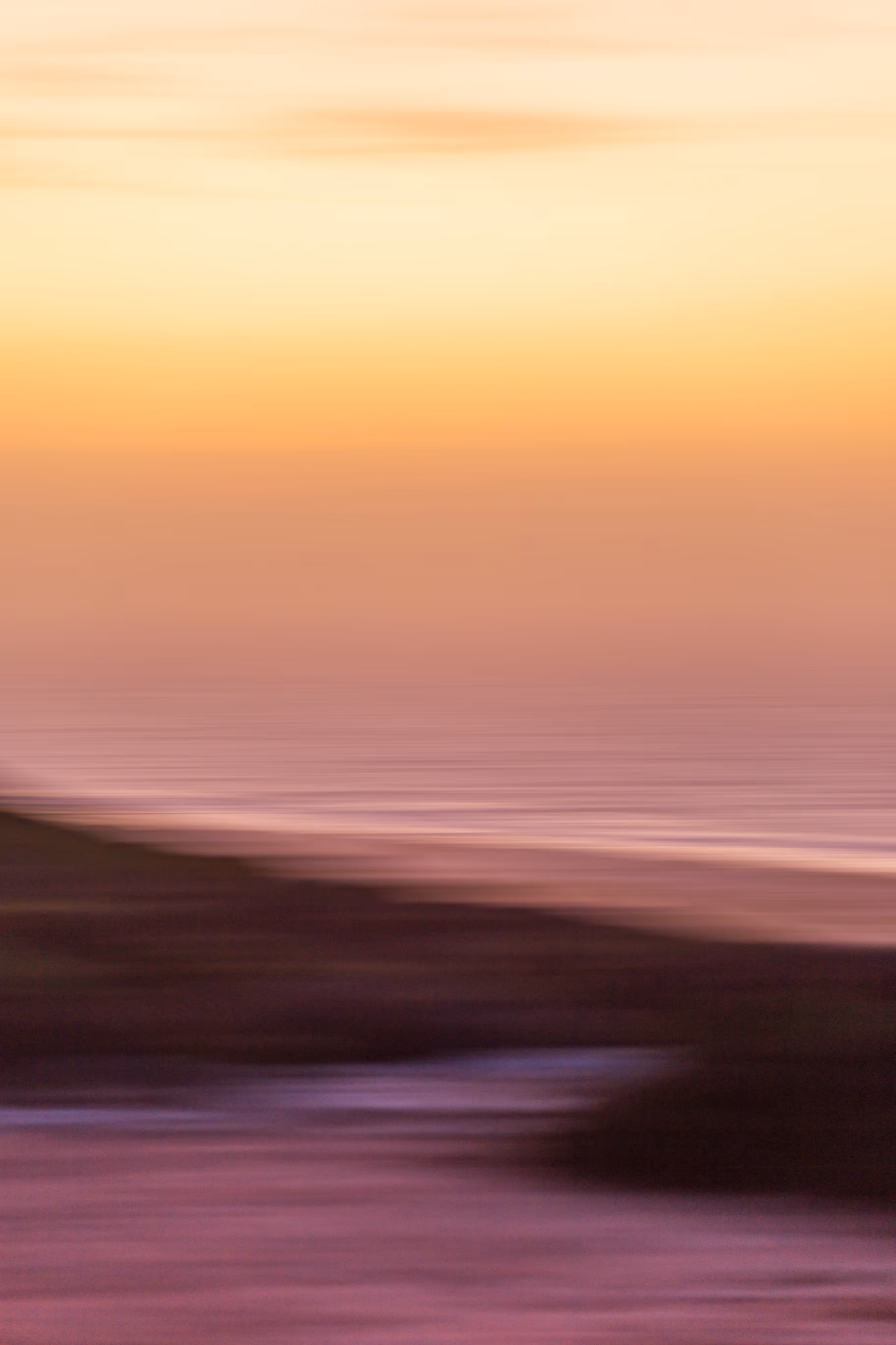 The Coast