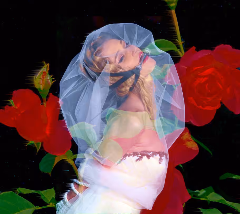 the bride 