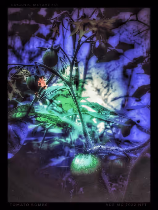 Organic Metaverse (Super Editions)