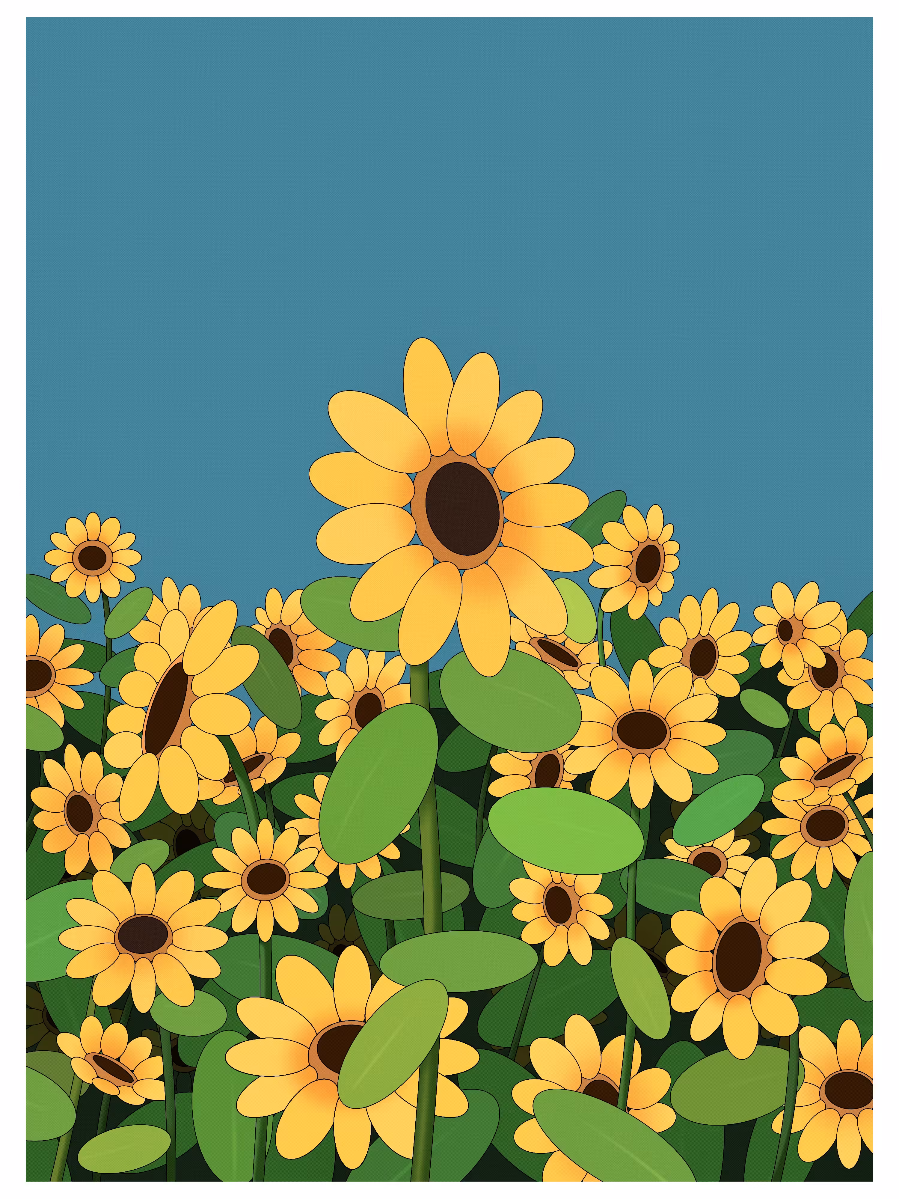 Sunflower