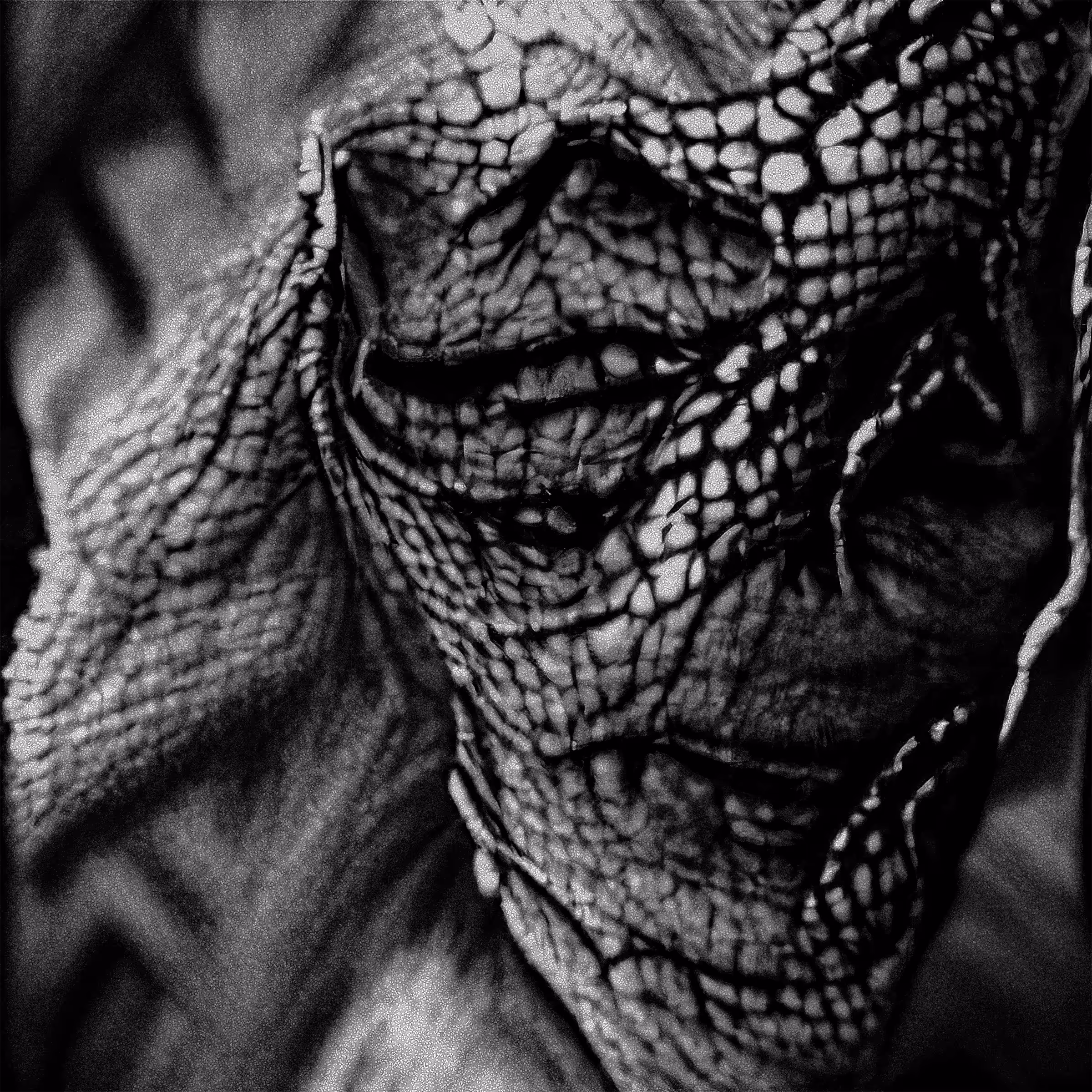 Monstruosity with lizard skin