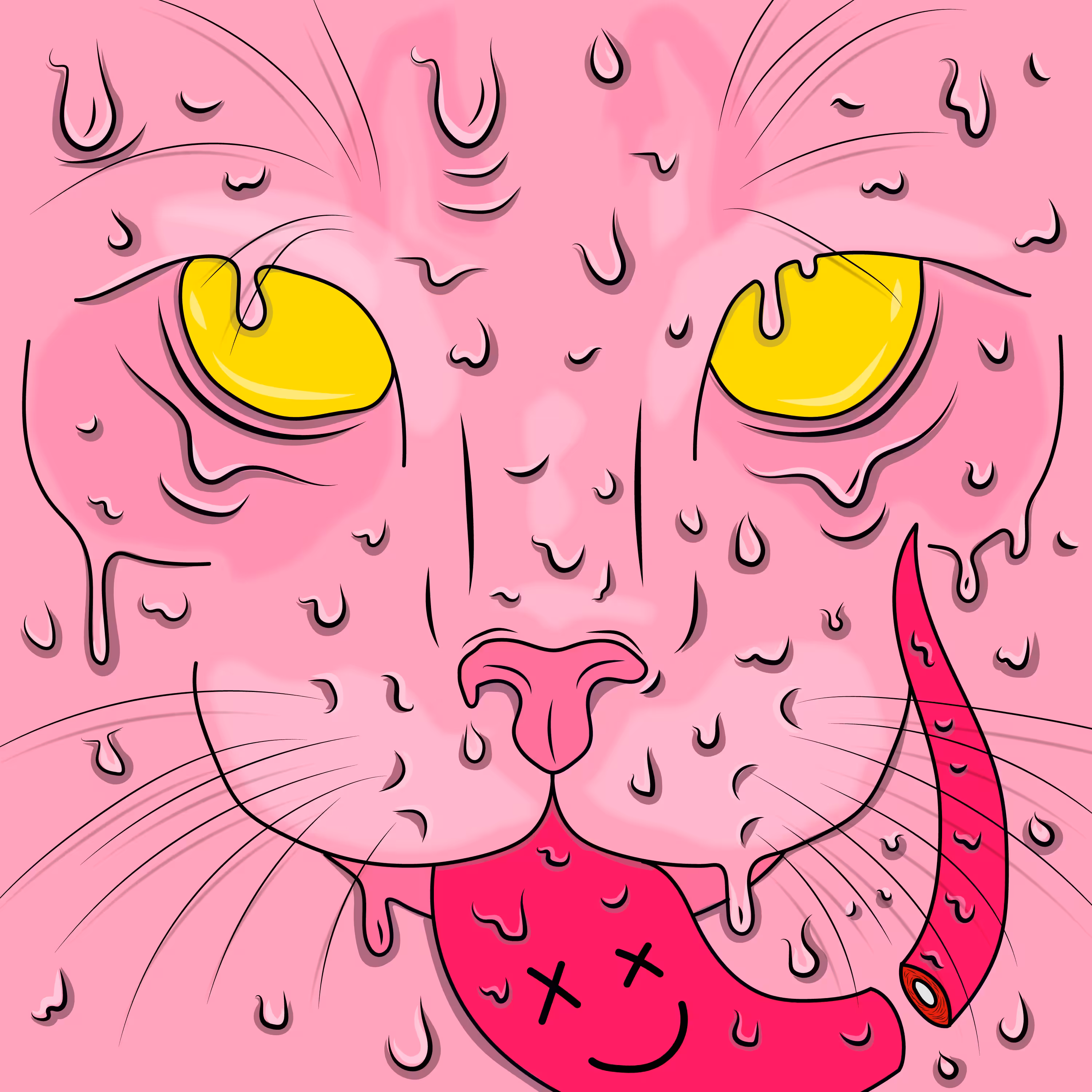 Cat/gato