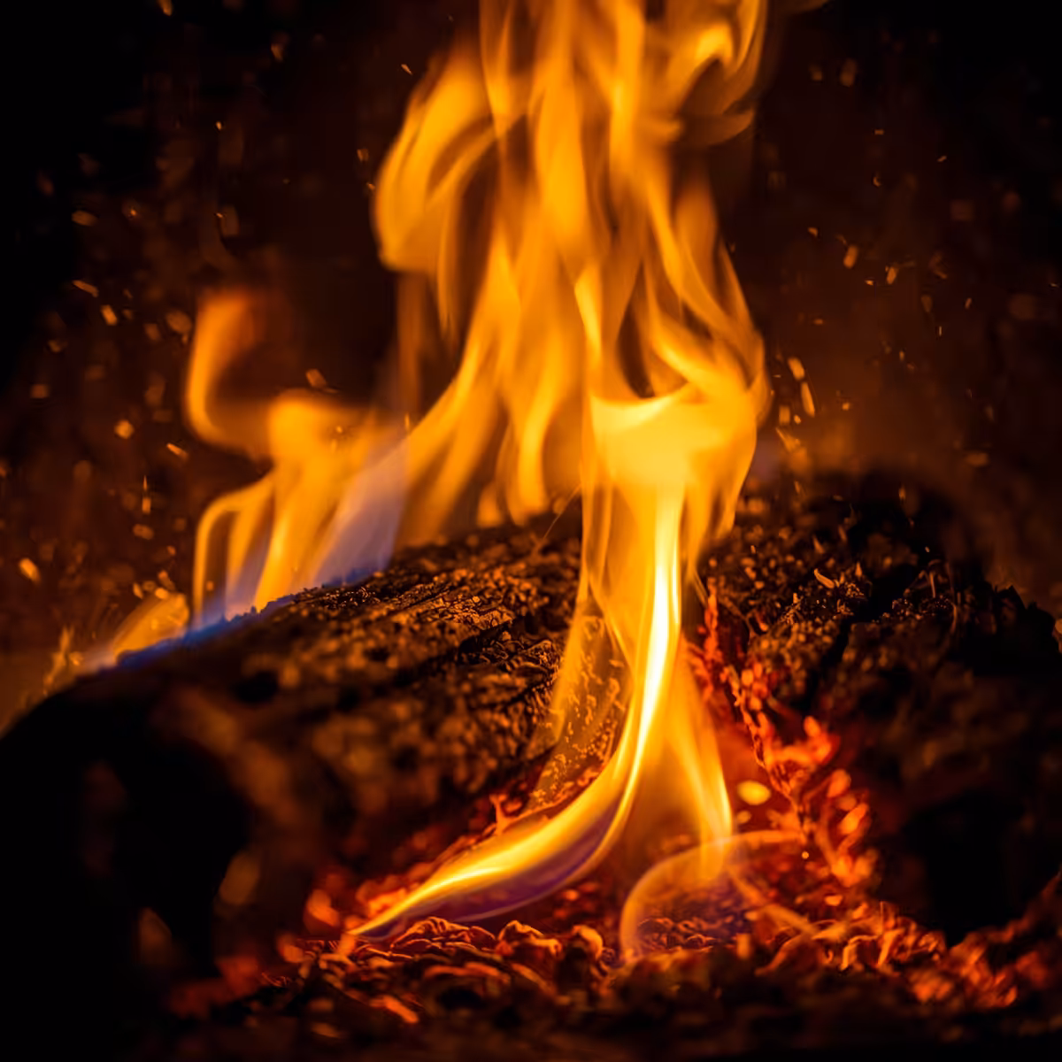 Flames of Warmth
