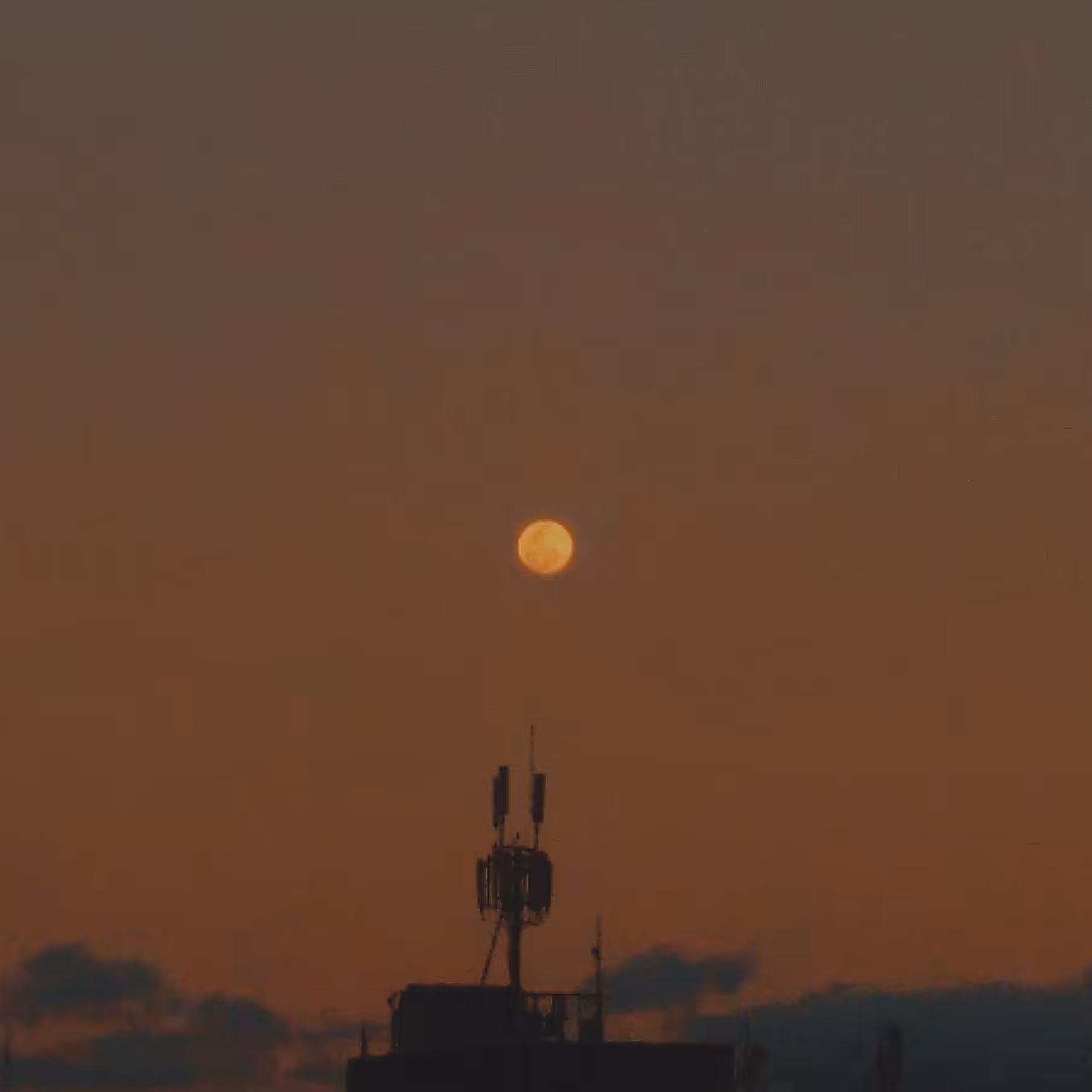 Lo-Fi Memories #1