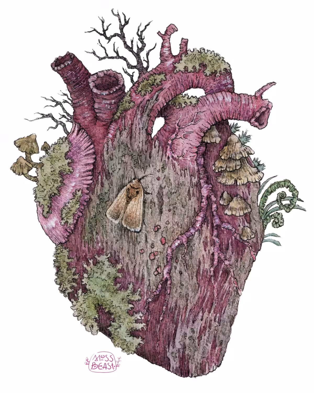 The Heart of Forest