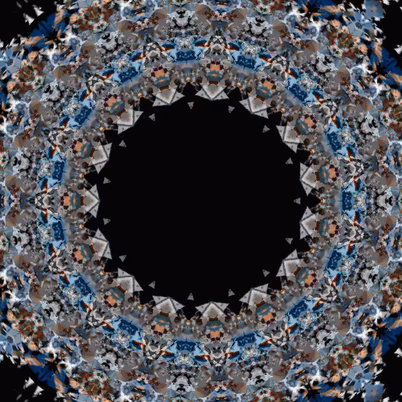 Blotter Motion #13