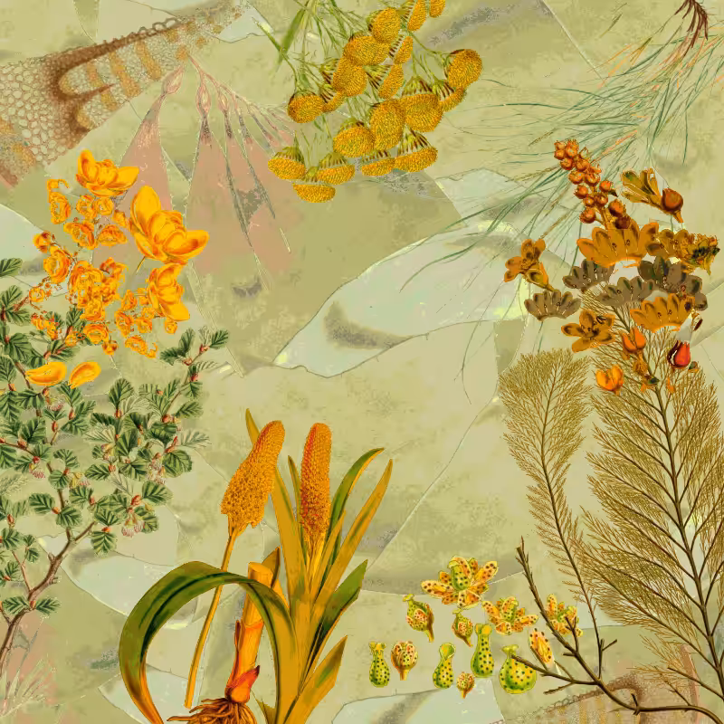 future flora from Antarctica's past #54