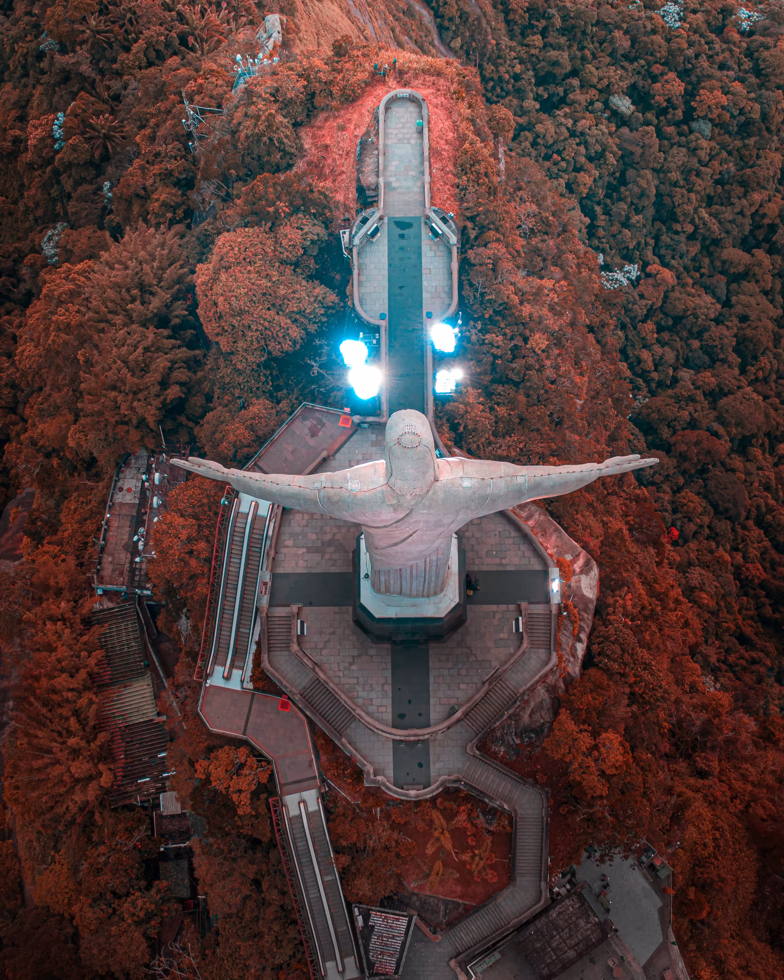 Have You Seen Jesus From Above?