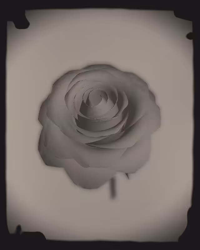 Rose 1851 #86