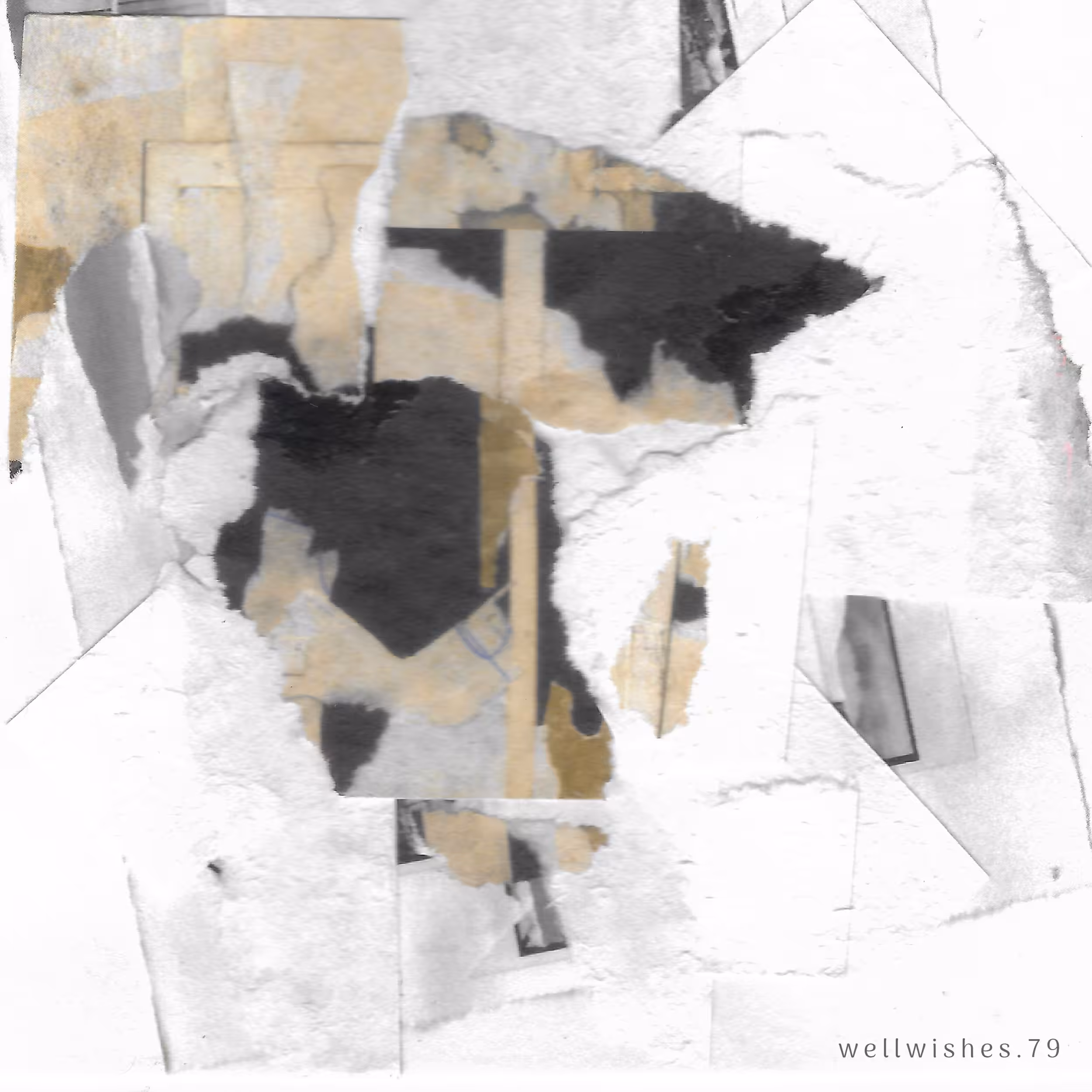 wellwishes 79