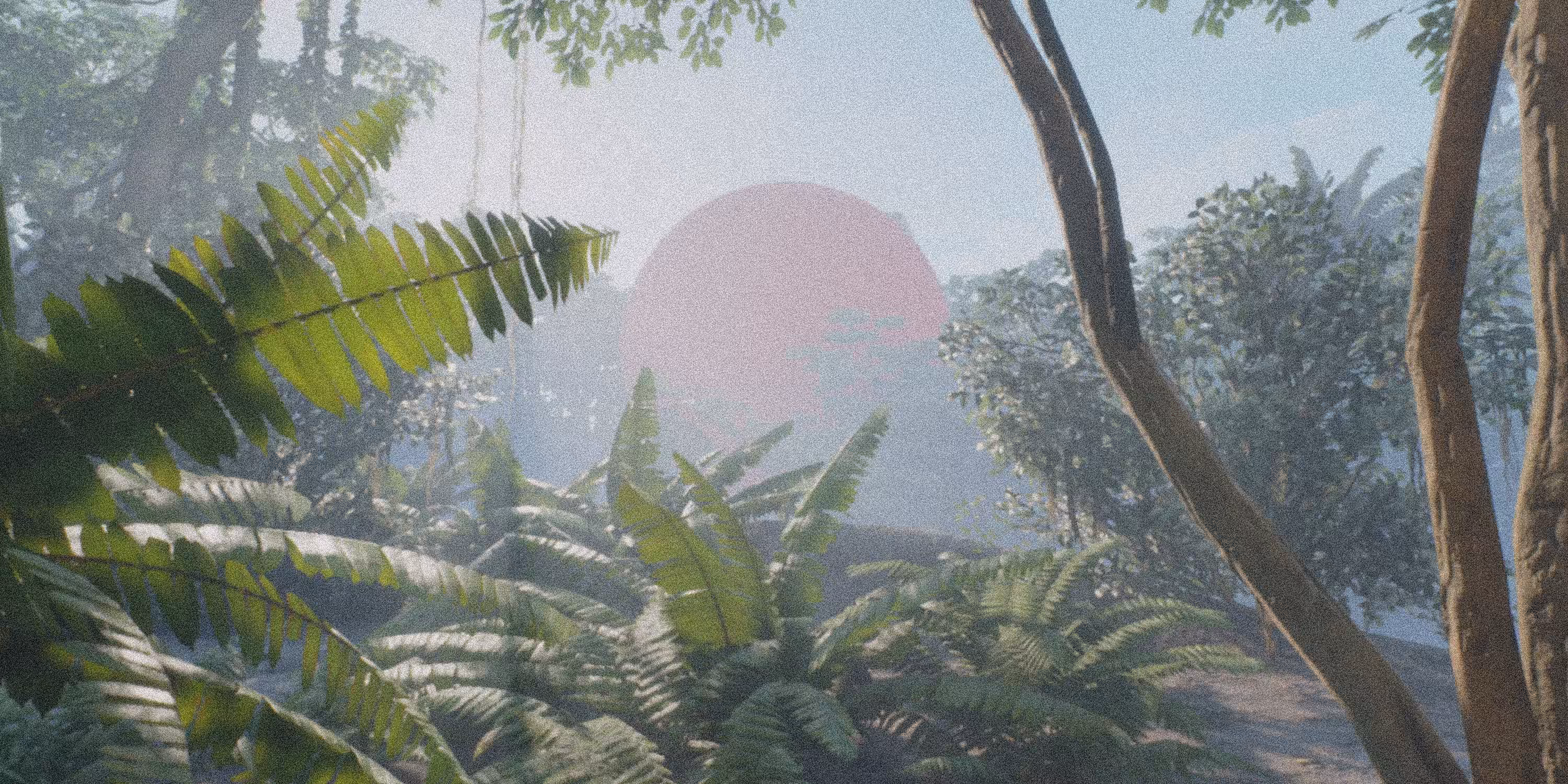 Over the jungle 