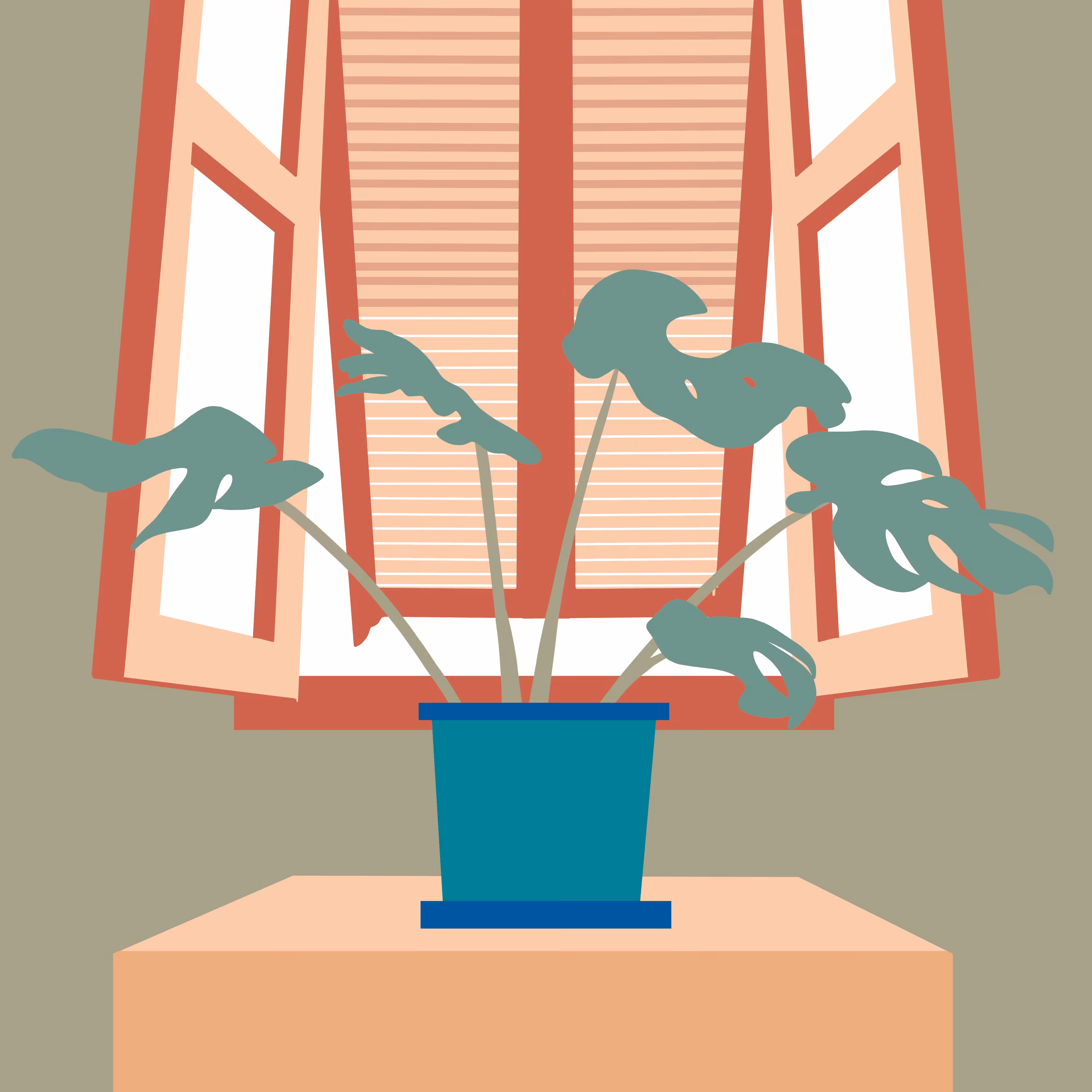 House Plant