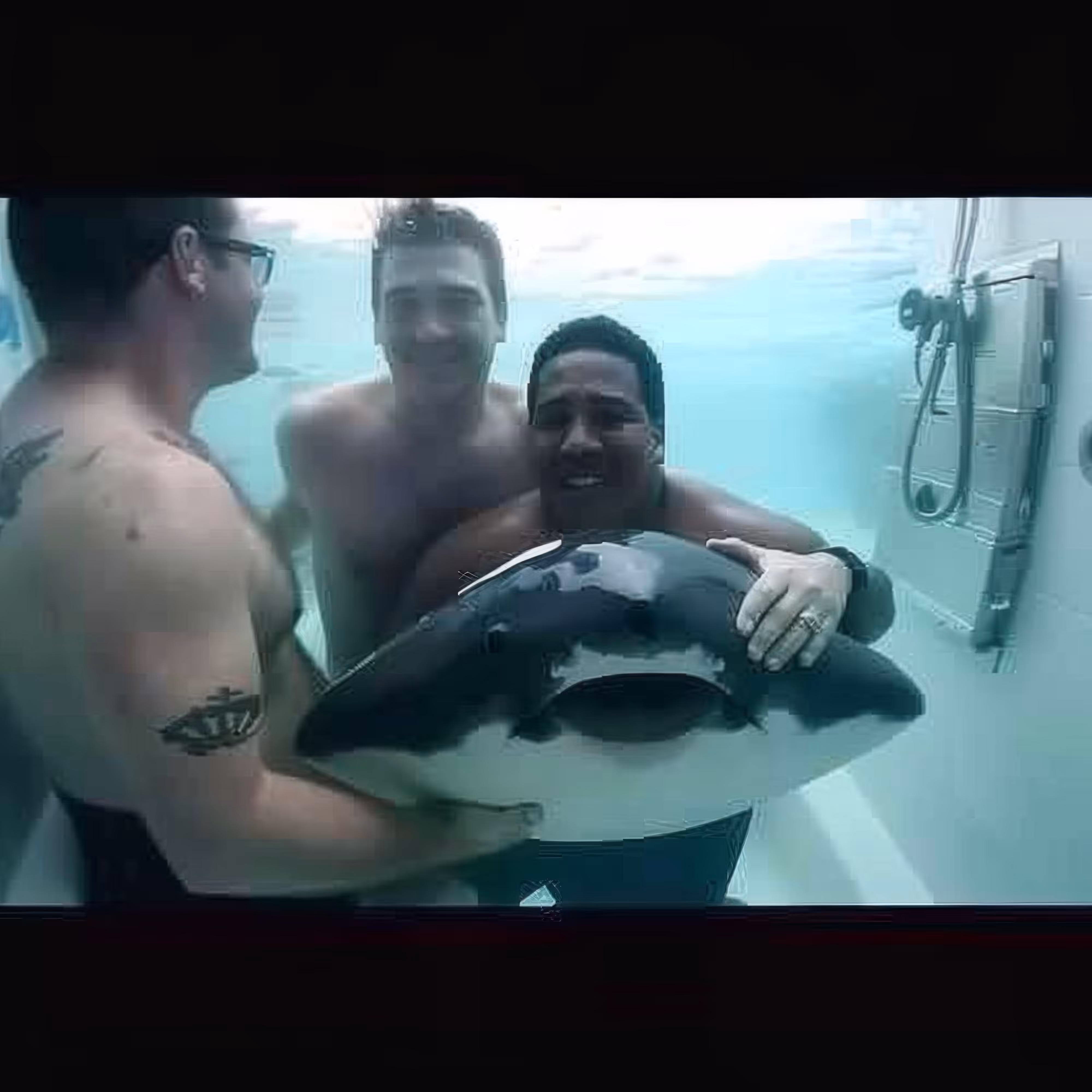 Communal-Stingray