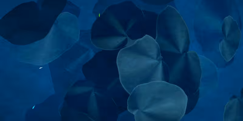 The Restoration Scheme: Reefs #48