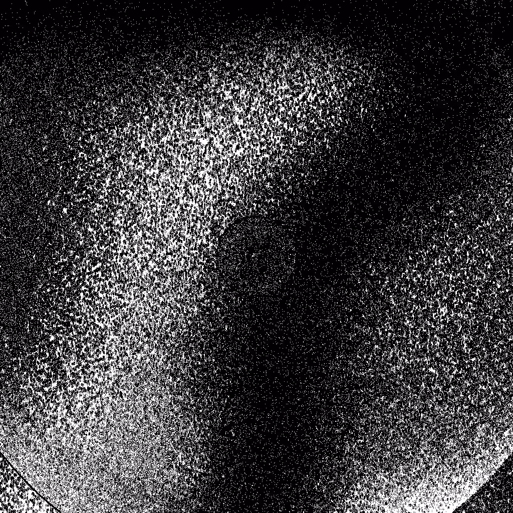 Noise #856 