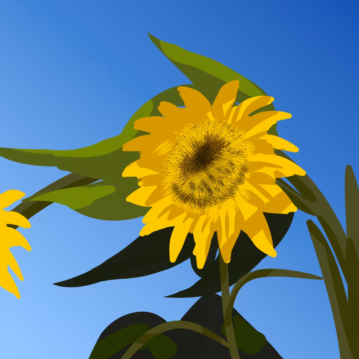 Sunflower And The Blue Sky
