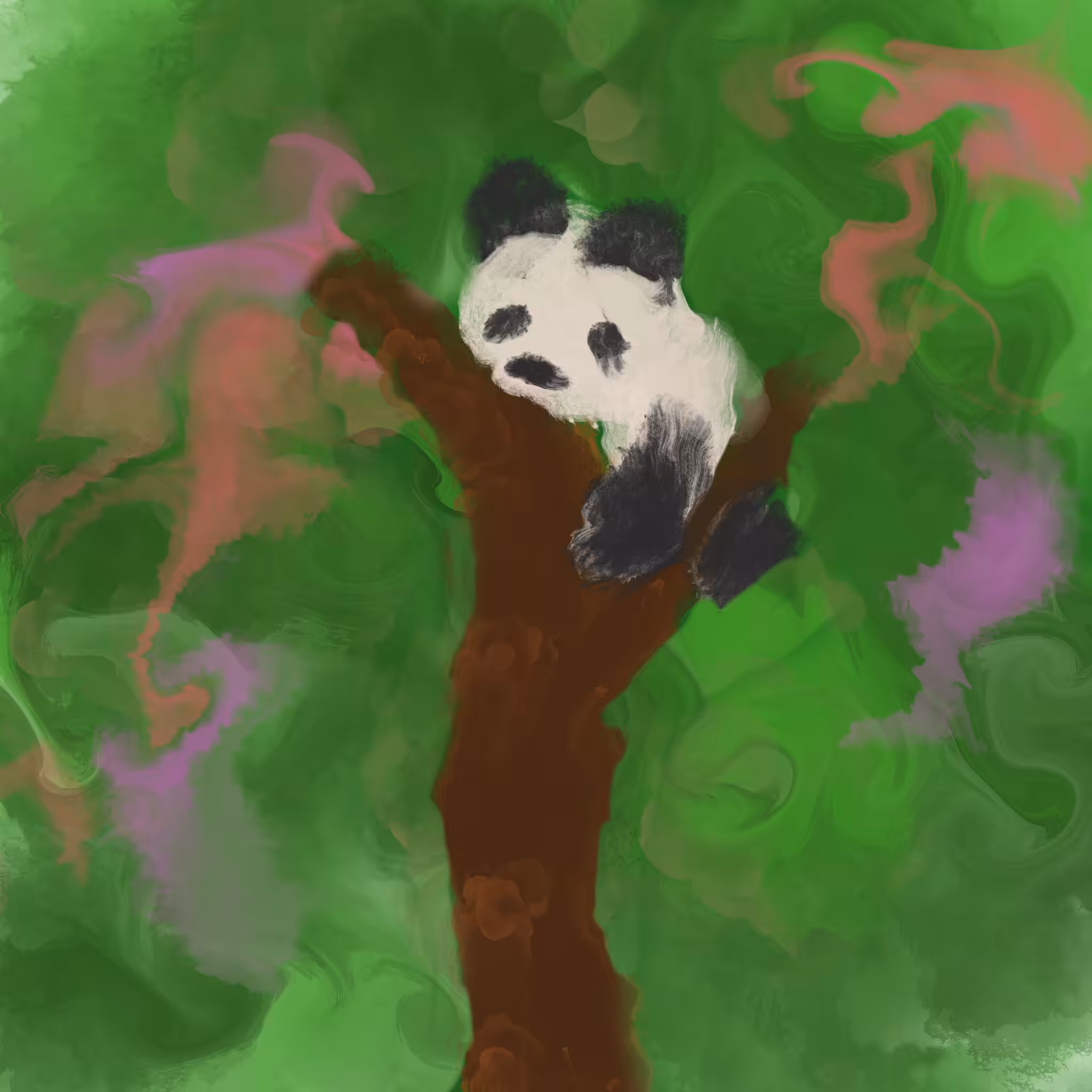 panda tez