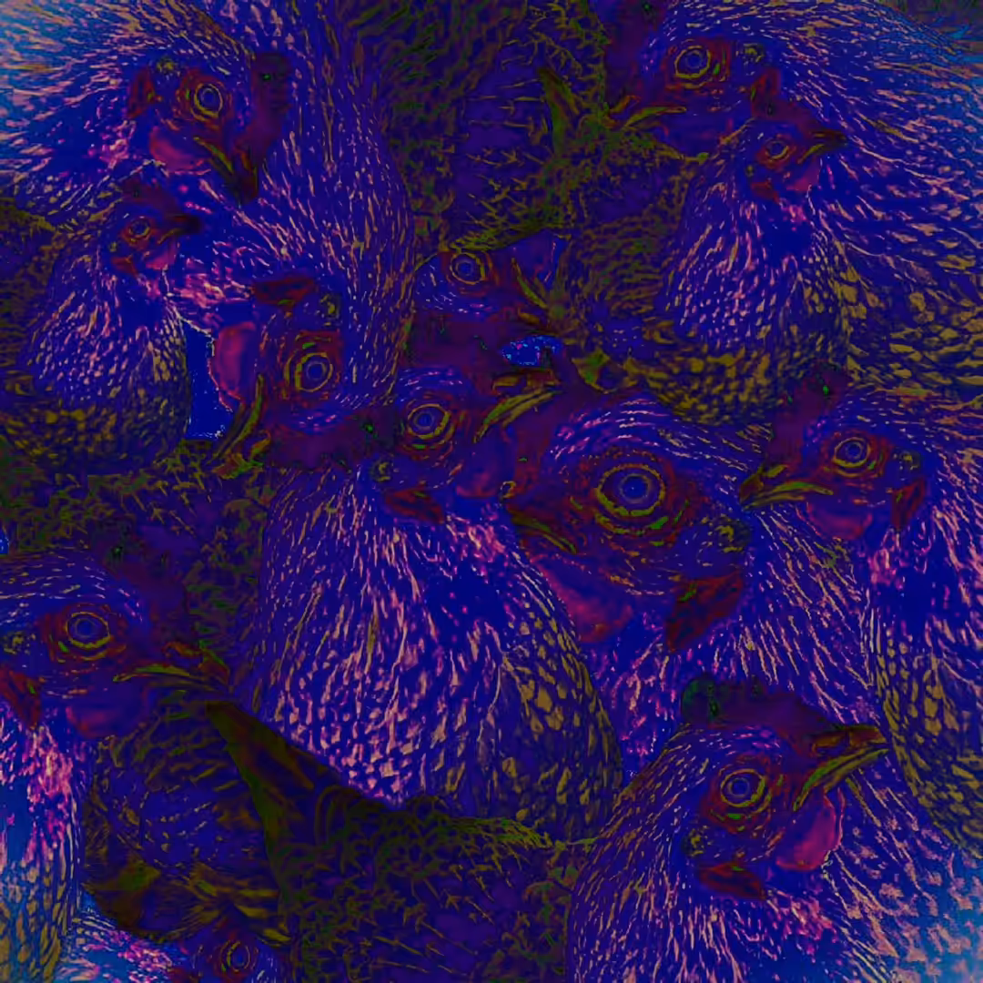 MC CHICKEN