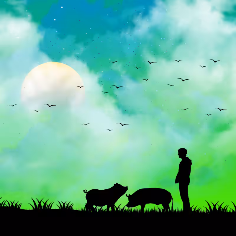 We Care...Pig #5