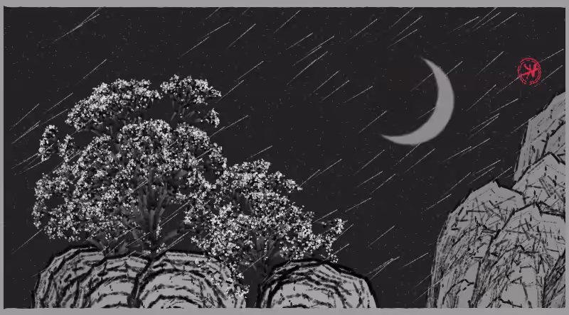 Bloom in the rain #82