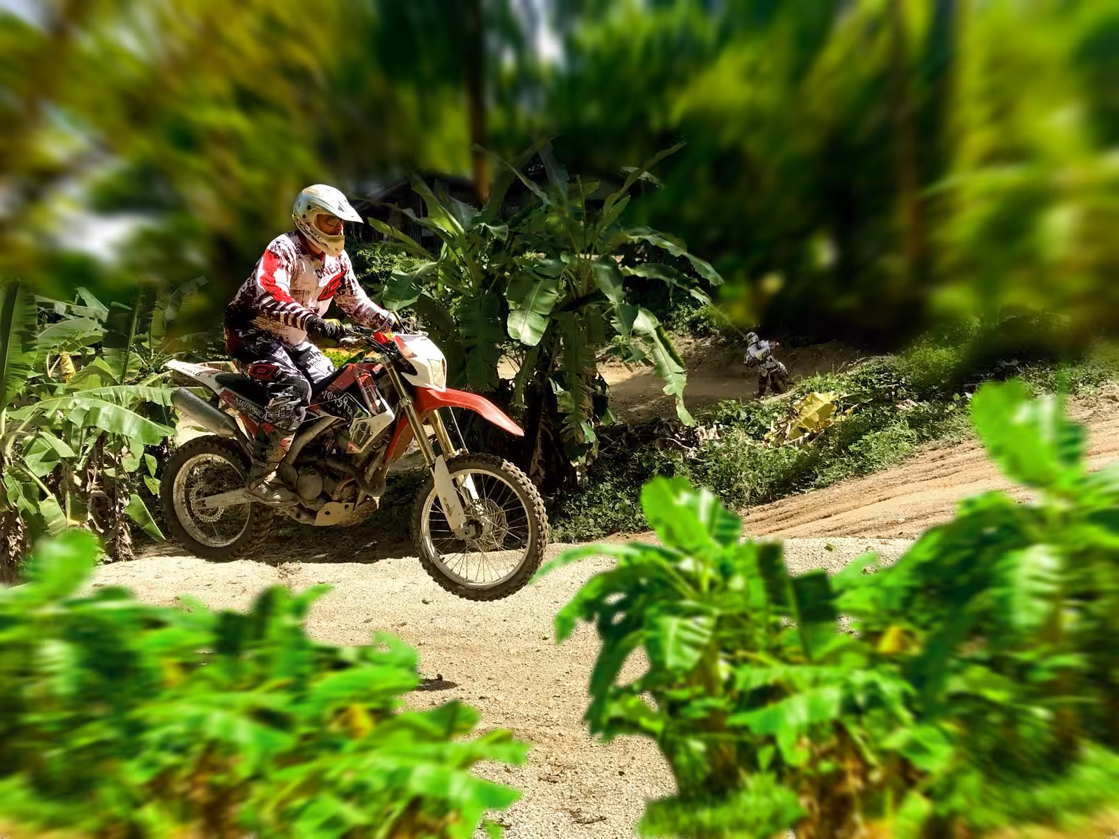 Motocross in the Jungle