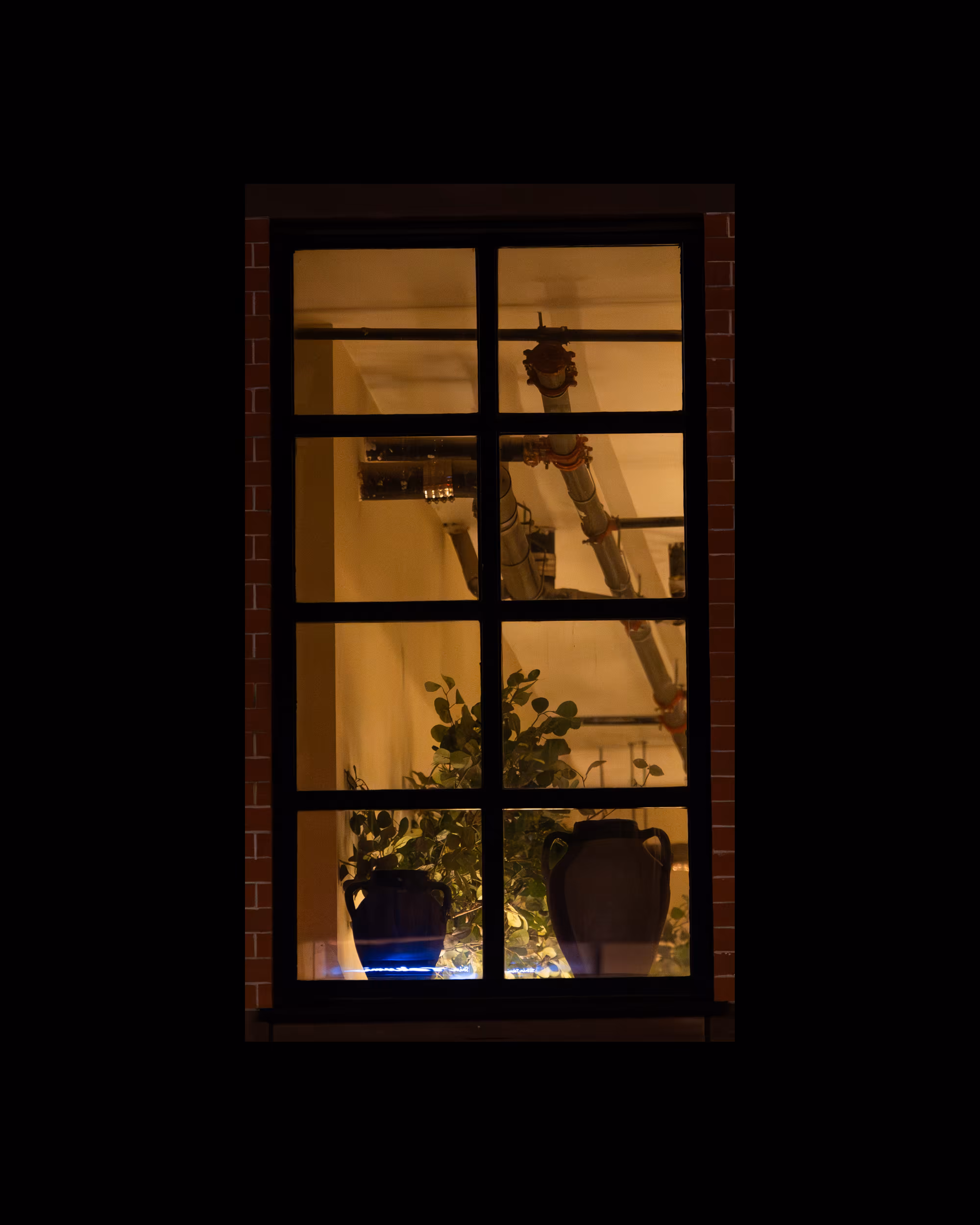 WINDOW 98