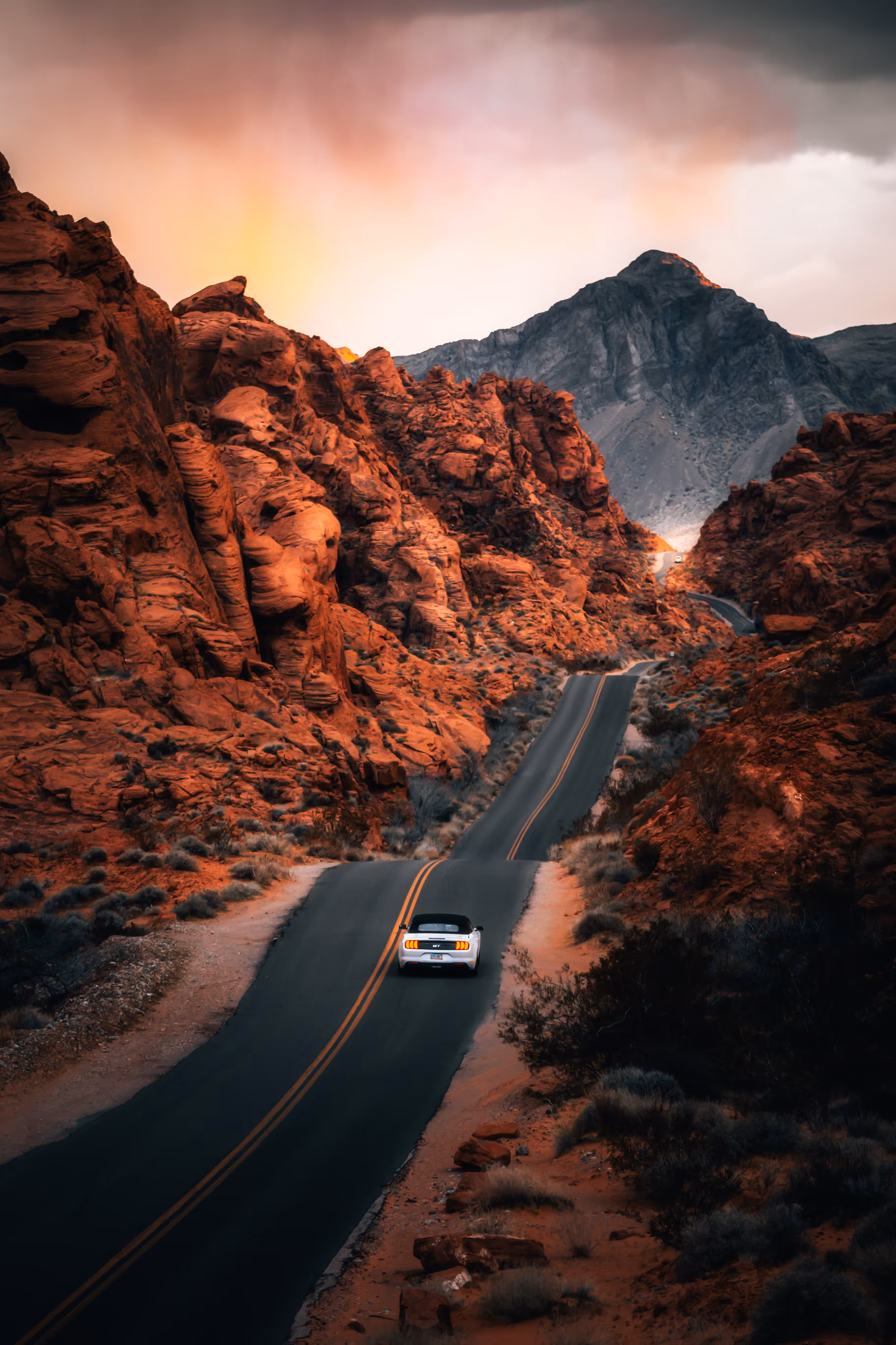 Distance Traveled 50: Mouse