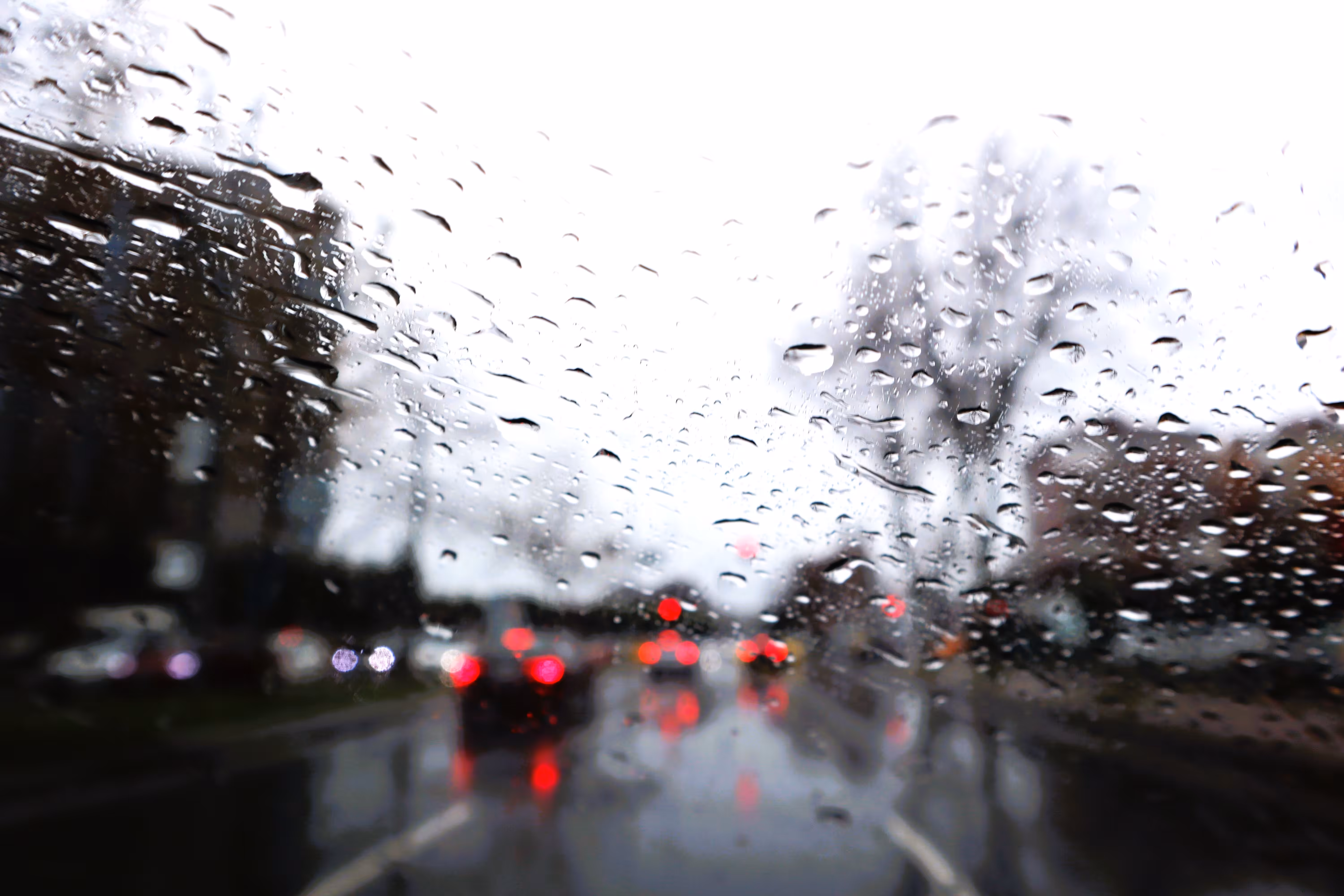 Rainy Day: #19