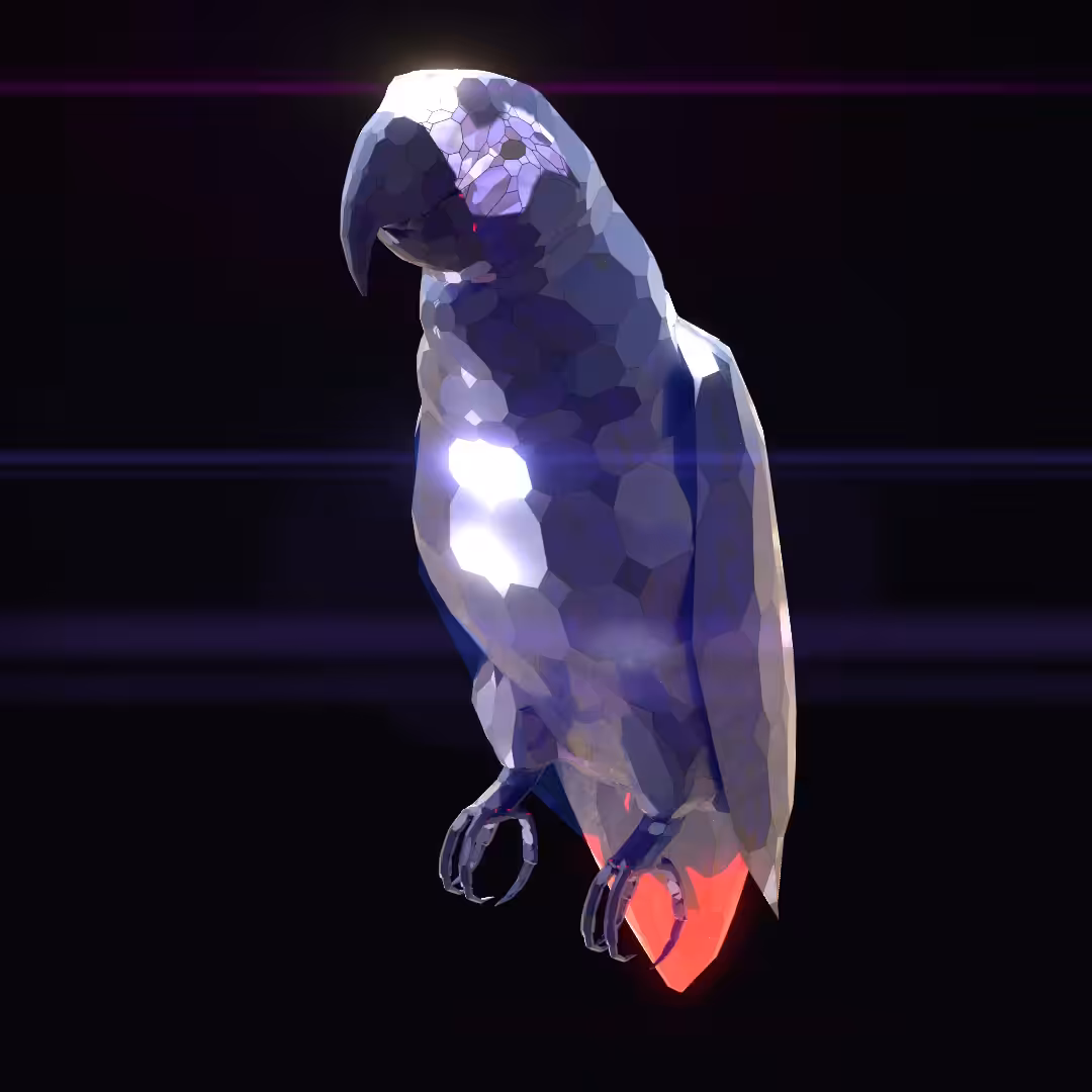 African Grey Parrot