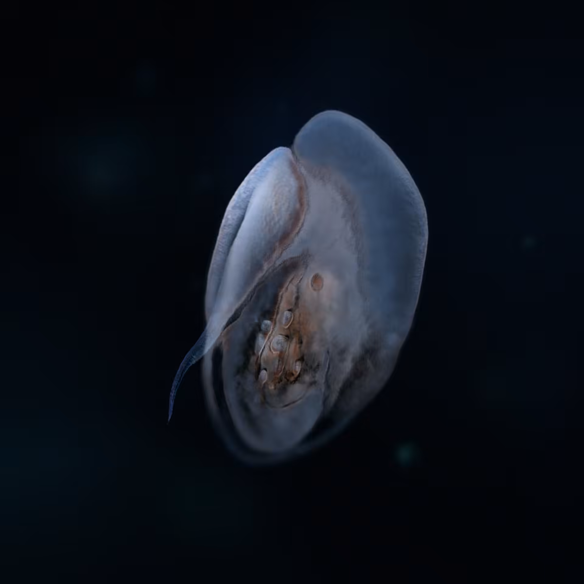 Sperma 49