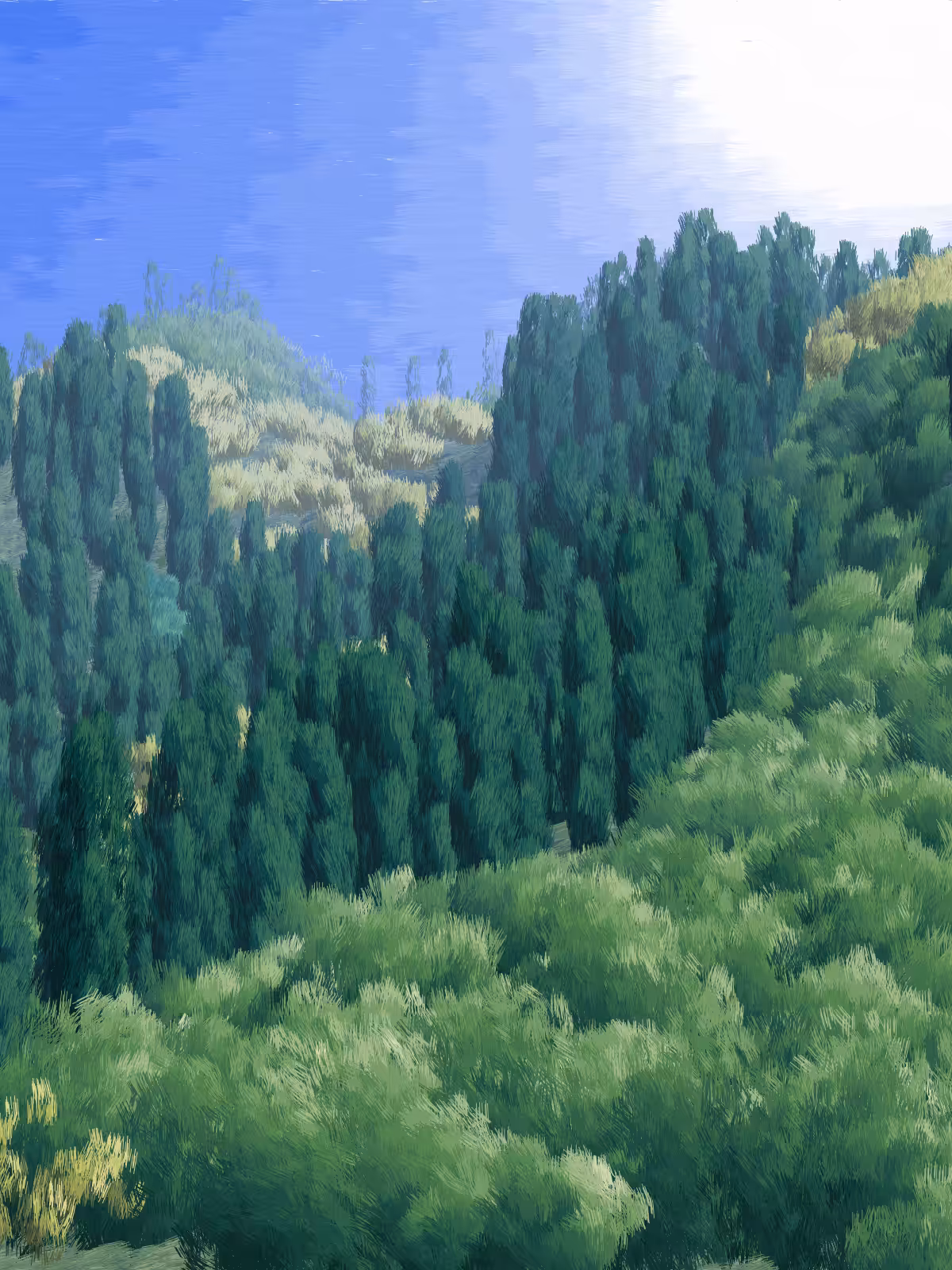 Provence #460